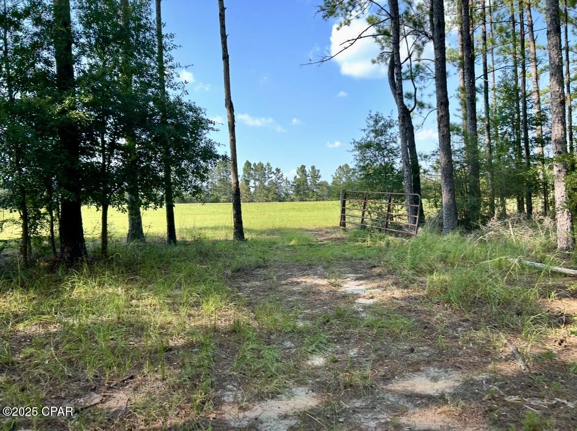 Image 28 For 8645 Moores Mill Creek Road