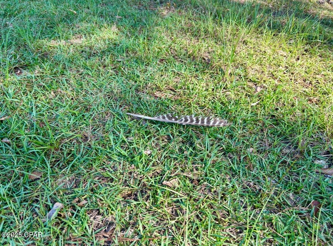 Image 29 For 8645 Moores Mill Creek Road