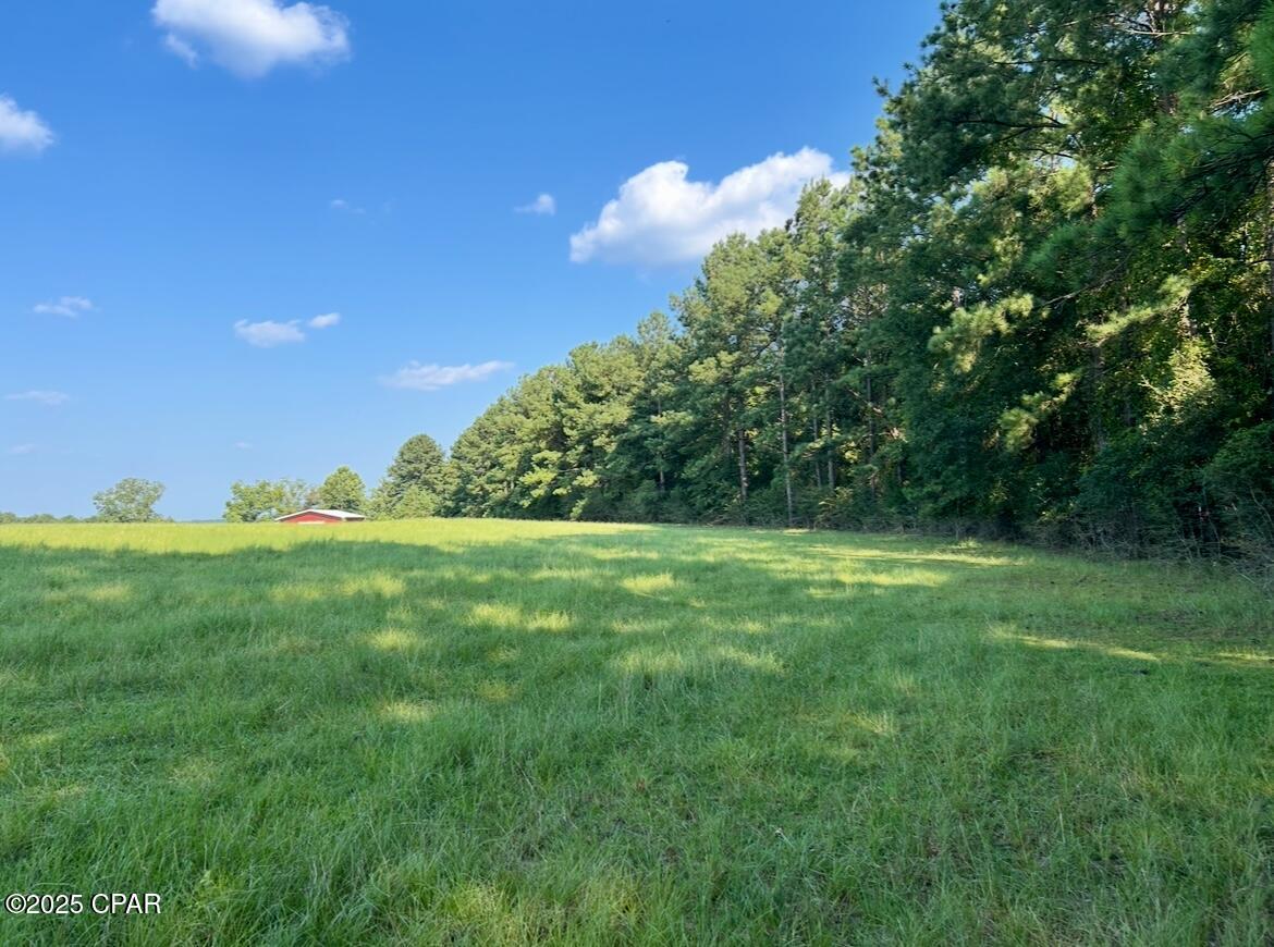 Image 30 For 8645 Moores Mill Creek Road