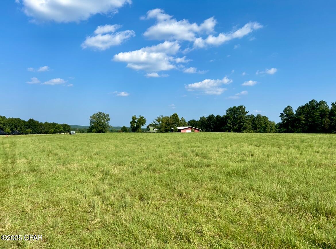 Image 31 For 8645 Moores Mill Creek Road