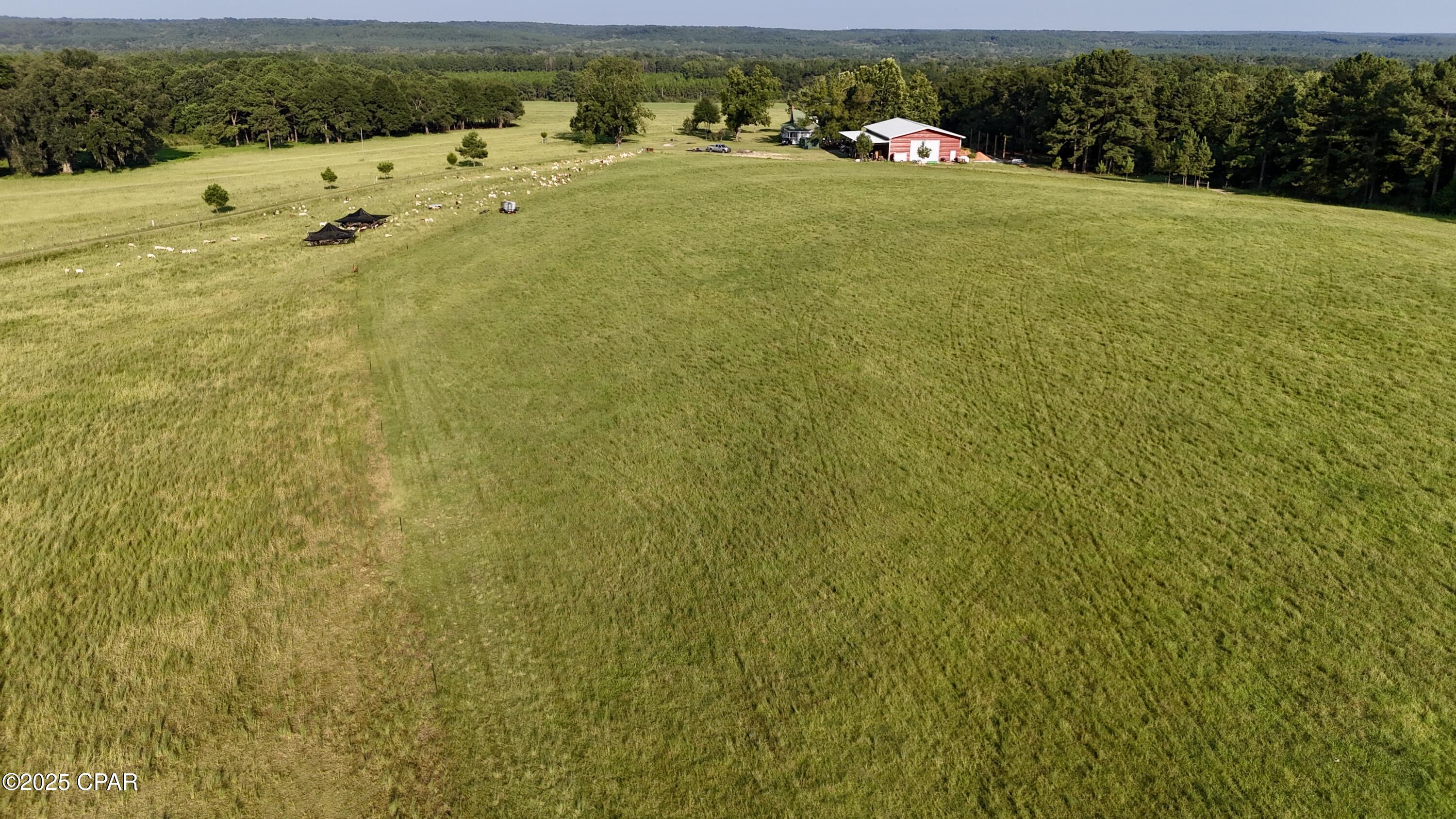 Image 32 For 8645 Moores Mill Creek Road