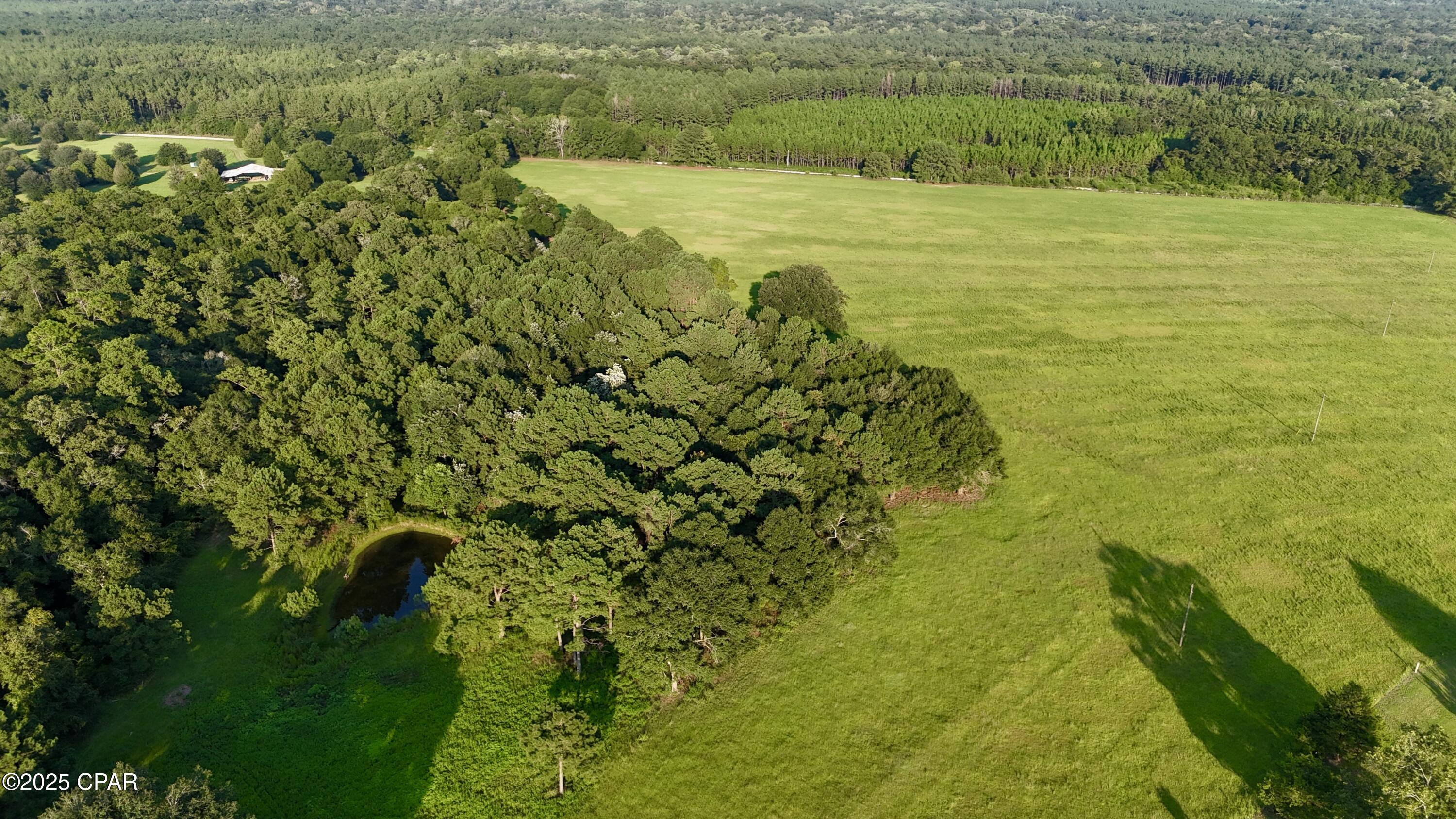 Image 4 For 8645 Moores Mill Creek Road