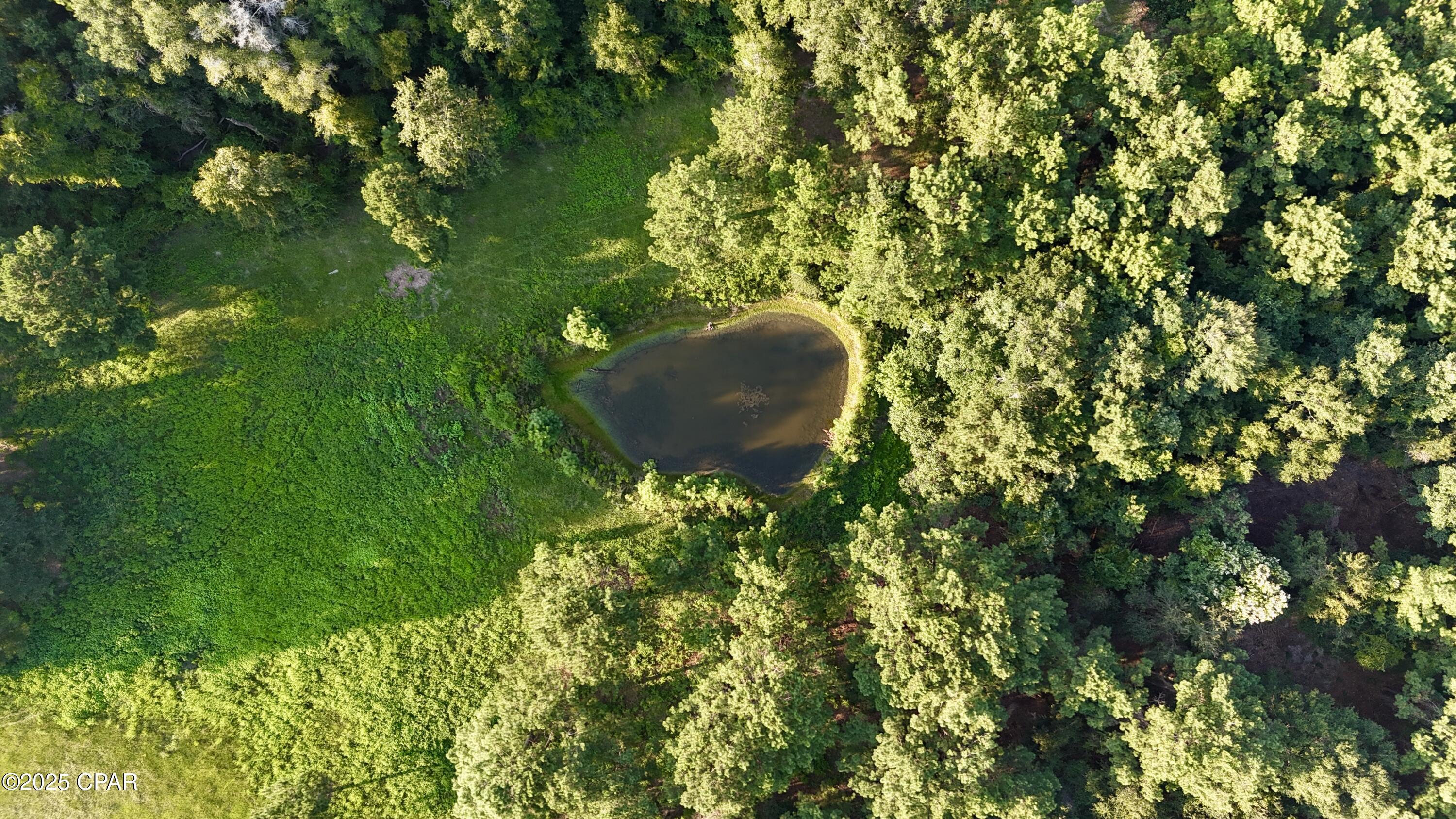 Image 5 For 8645 Moores Mill Creek Road