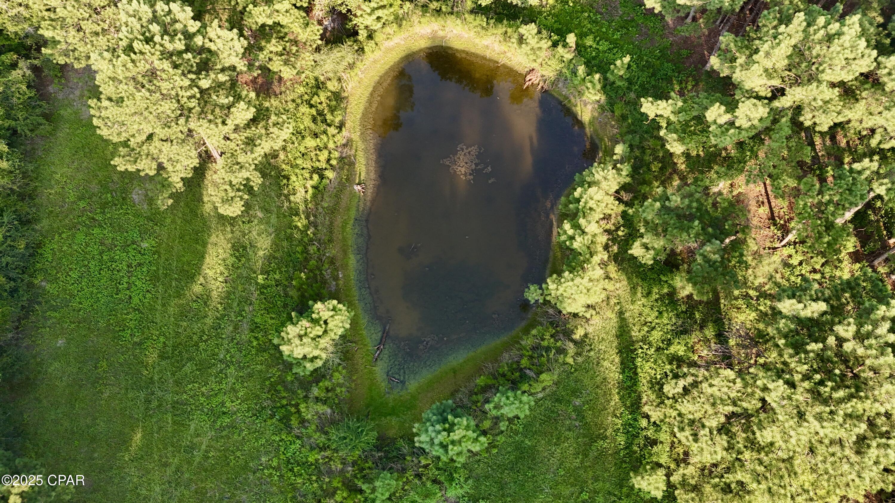 Image 6 For 8645 Moores Mill Creek Road