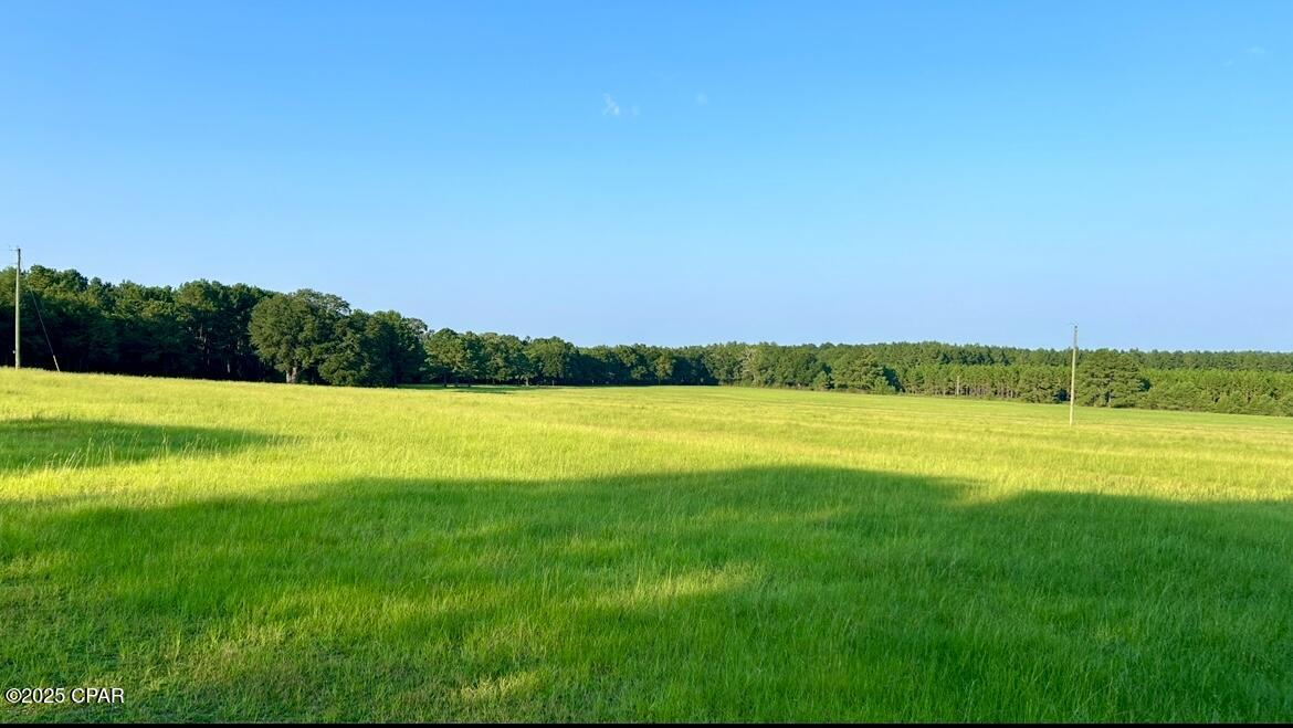 Image 7 For 8645 Moores Mill Creek Road