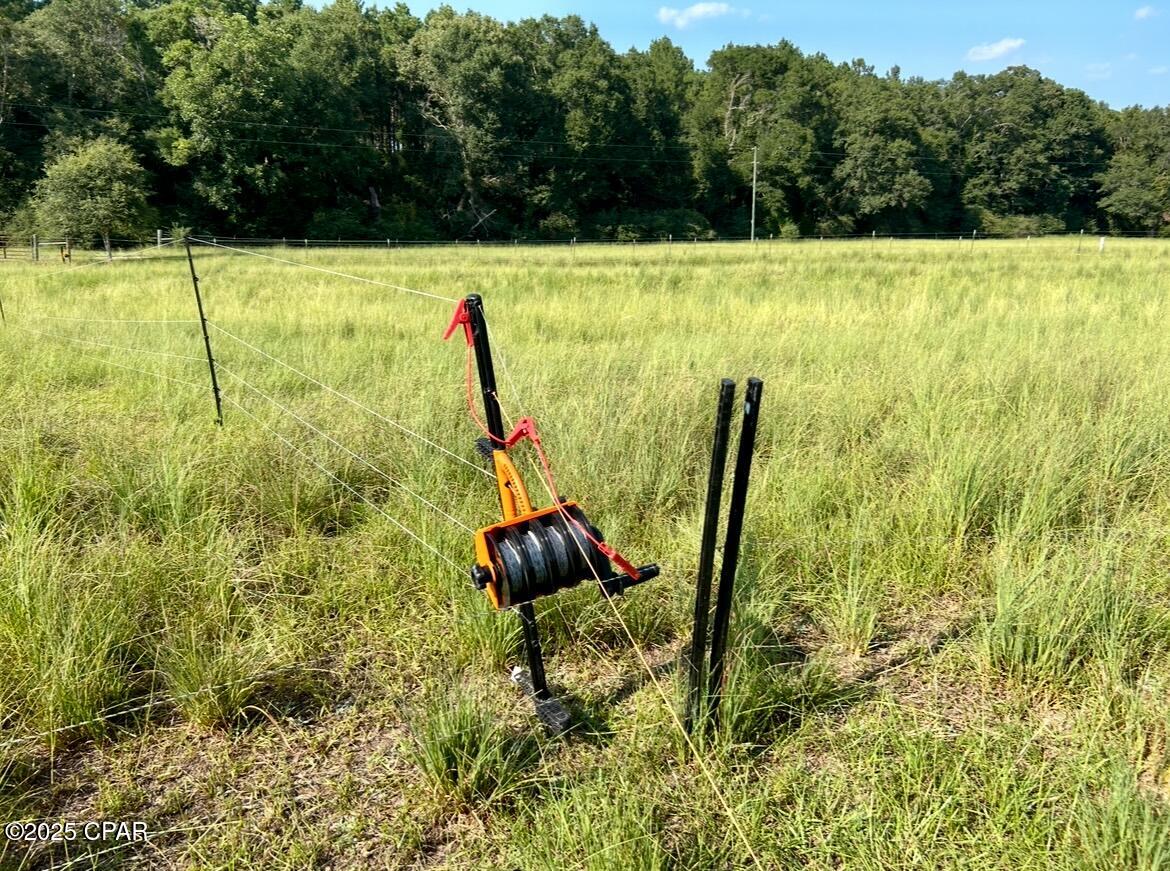 Image 8 For 8645 Moores Mill Creek Road