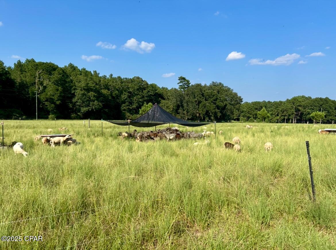 Image 9 For 8645 Moores Mill Creek Road