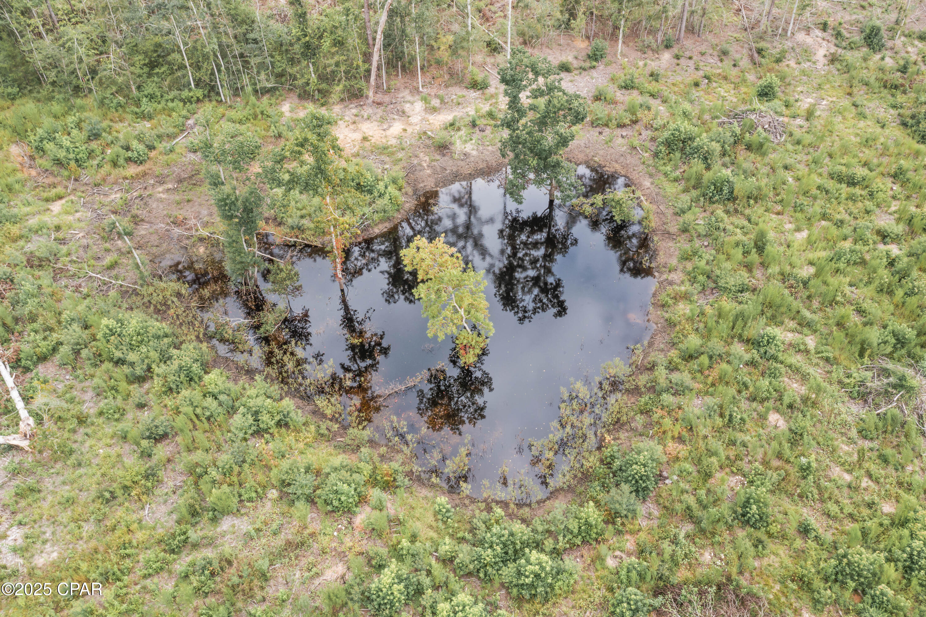 Image 14 For 2822 River Road