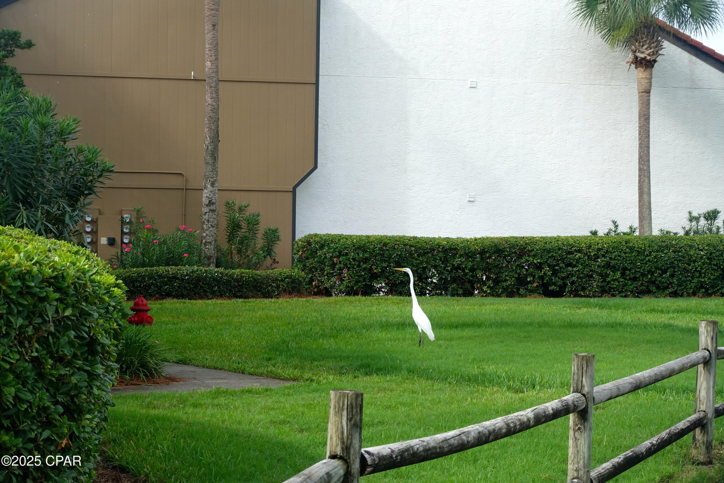 Image 14 For 520 Richard Jackson Boulevard 2711