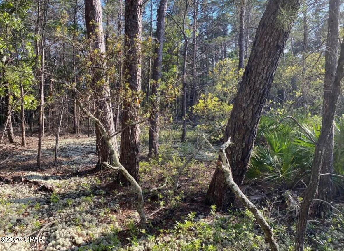 Image 11 For 0 No Street Address 30-2s-17w-7