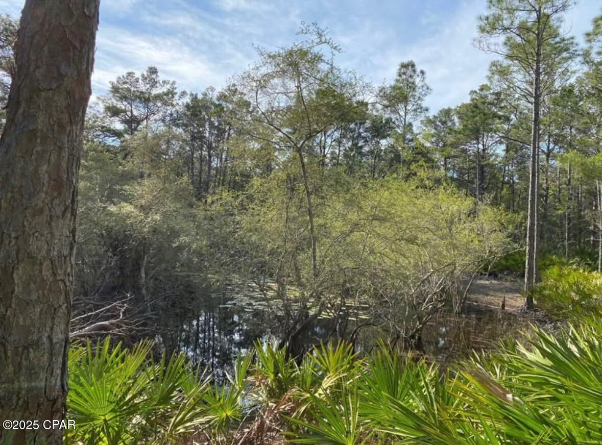 Image 8 For 0 No Street Address 30-2s-17w-7