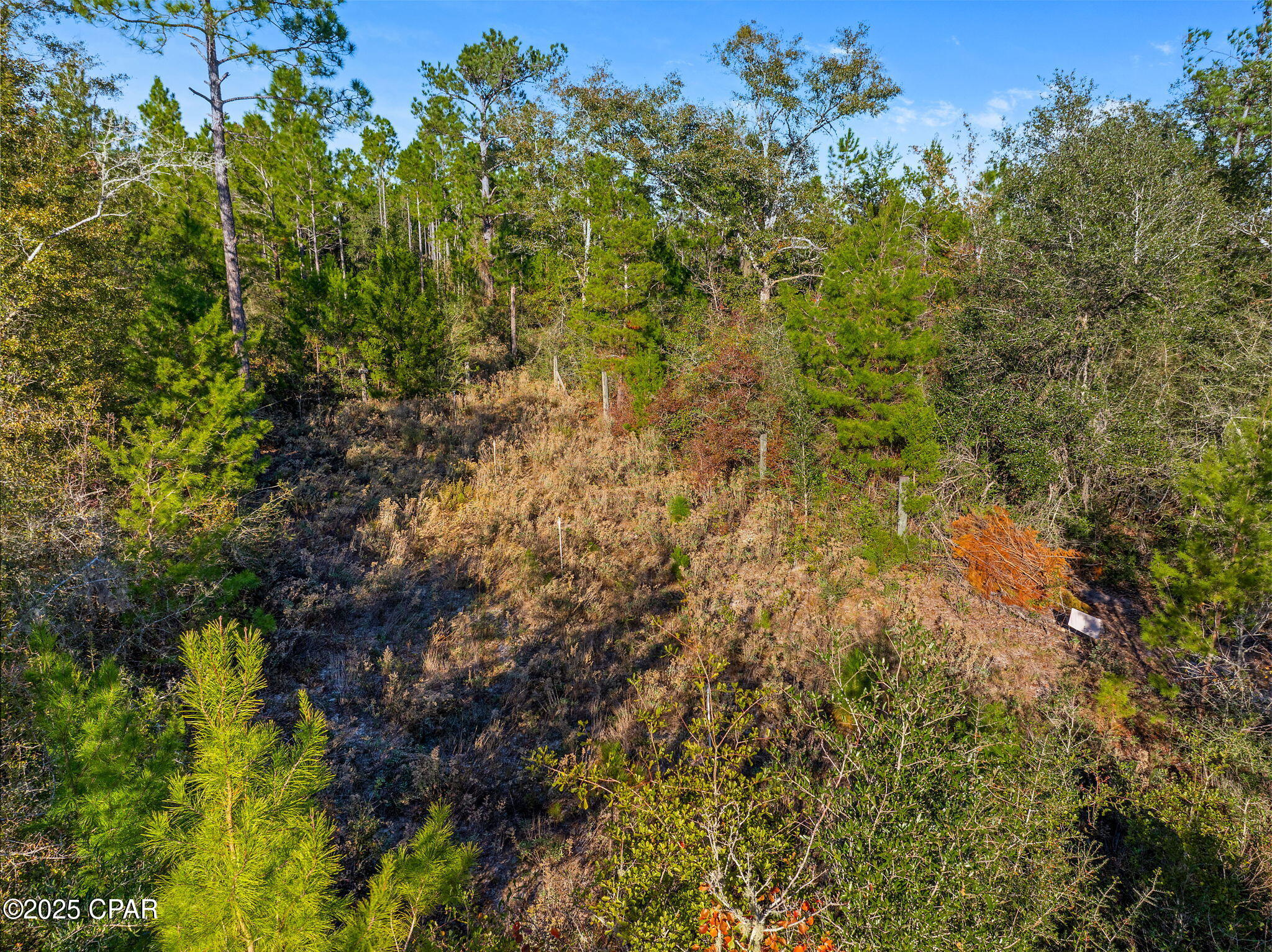 Image 2 For Tbd County Road 274