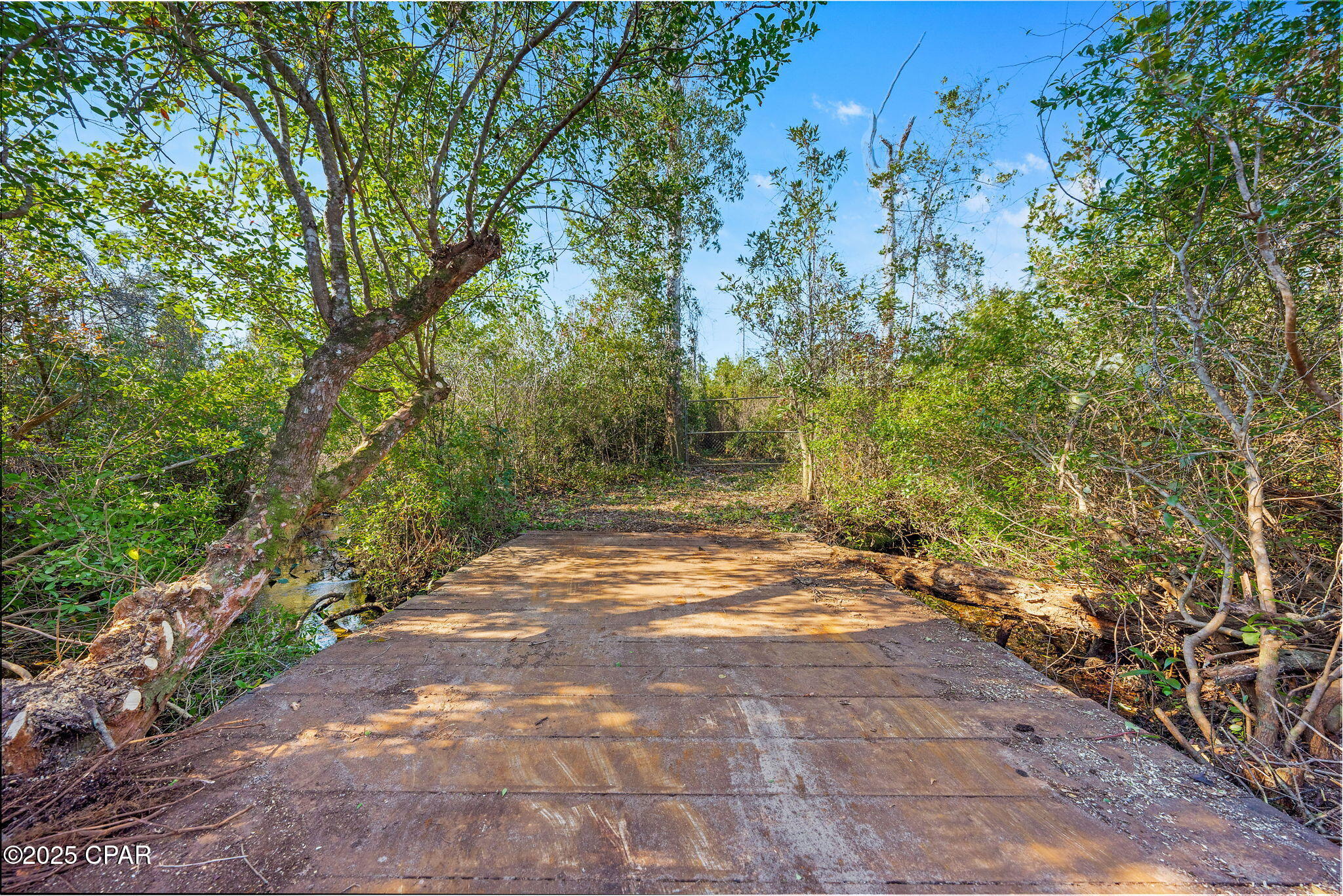 Image 3 For Tbd County Road 274