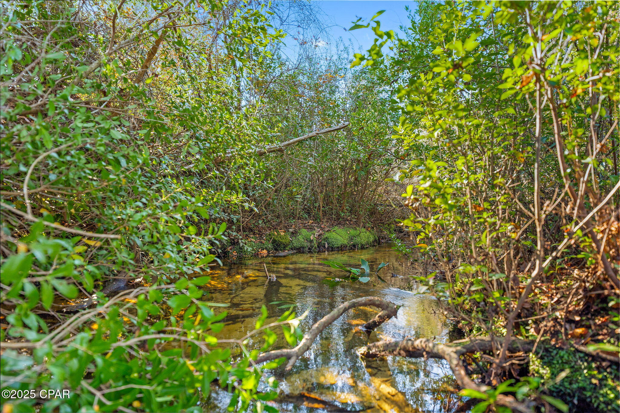 Image 4 For Tbd County Road 274