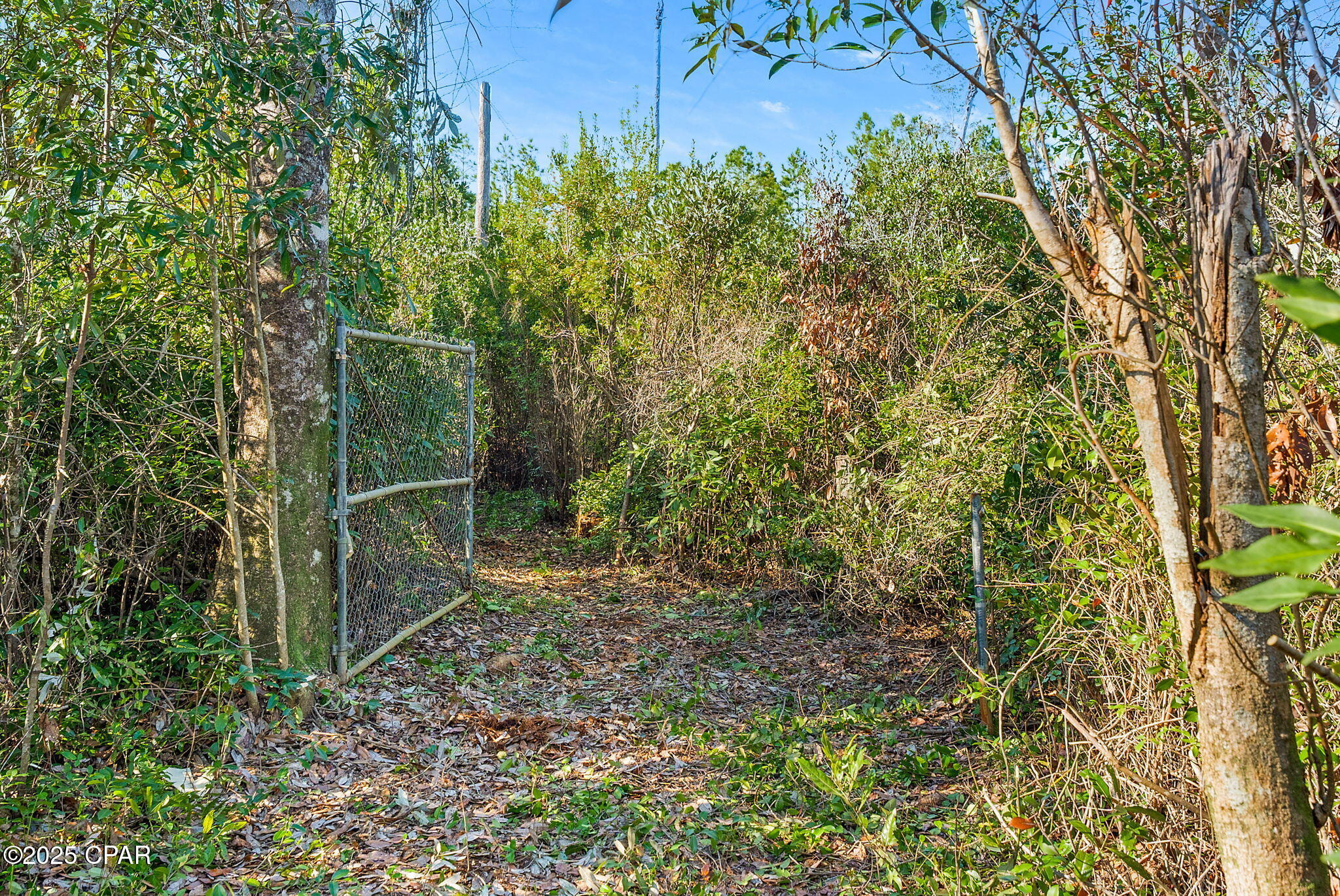 Image 6 For Tbd County Road 274