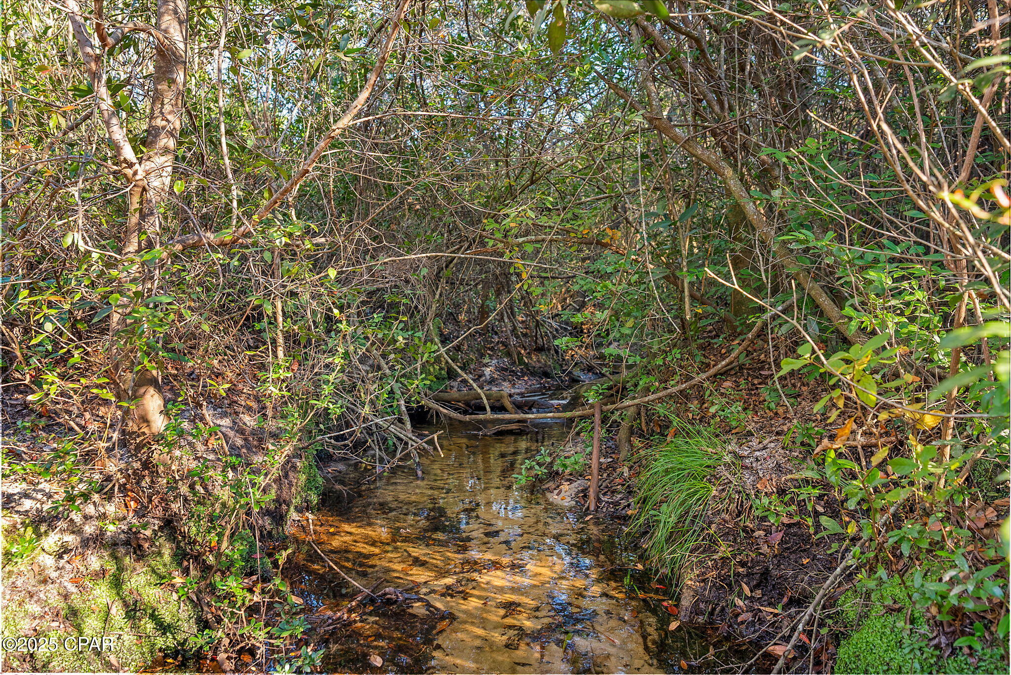 Image 8 For Tbd County Road 274