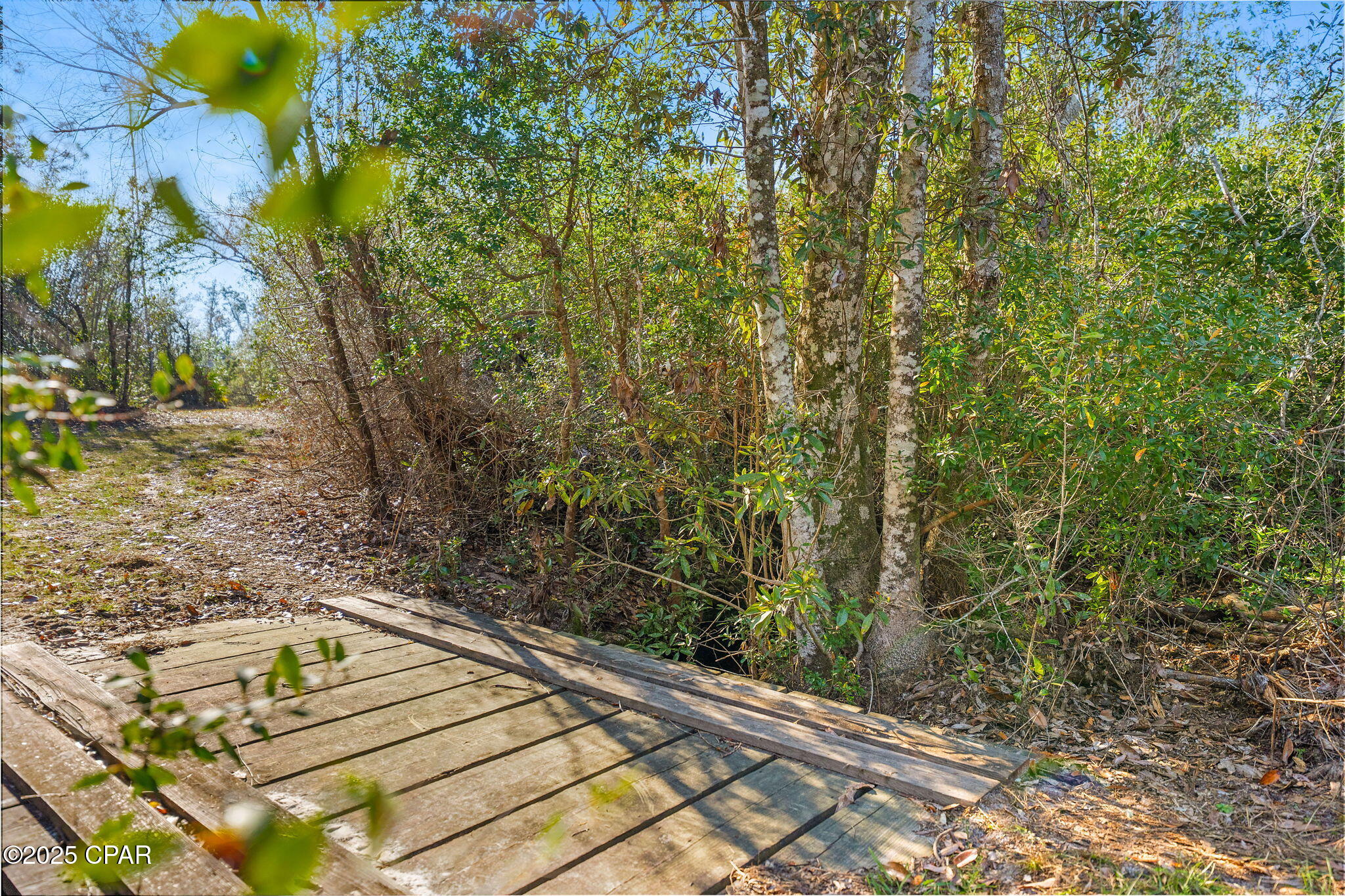 Image 9 For Tbd County Road 274