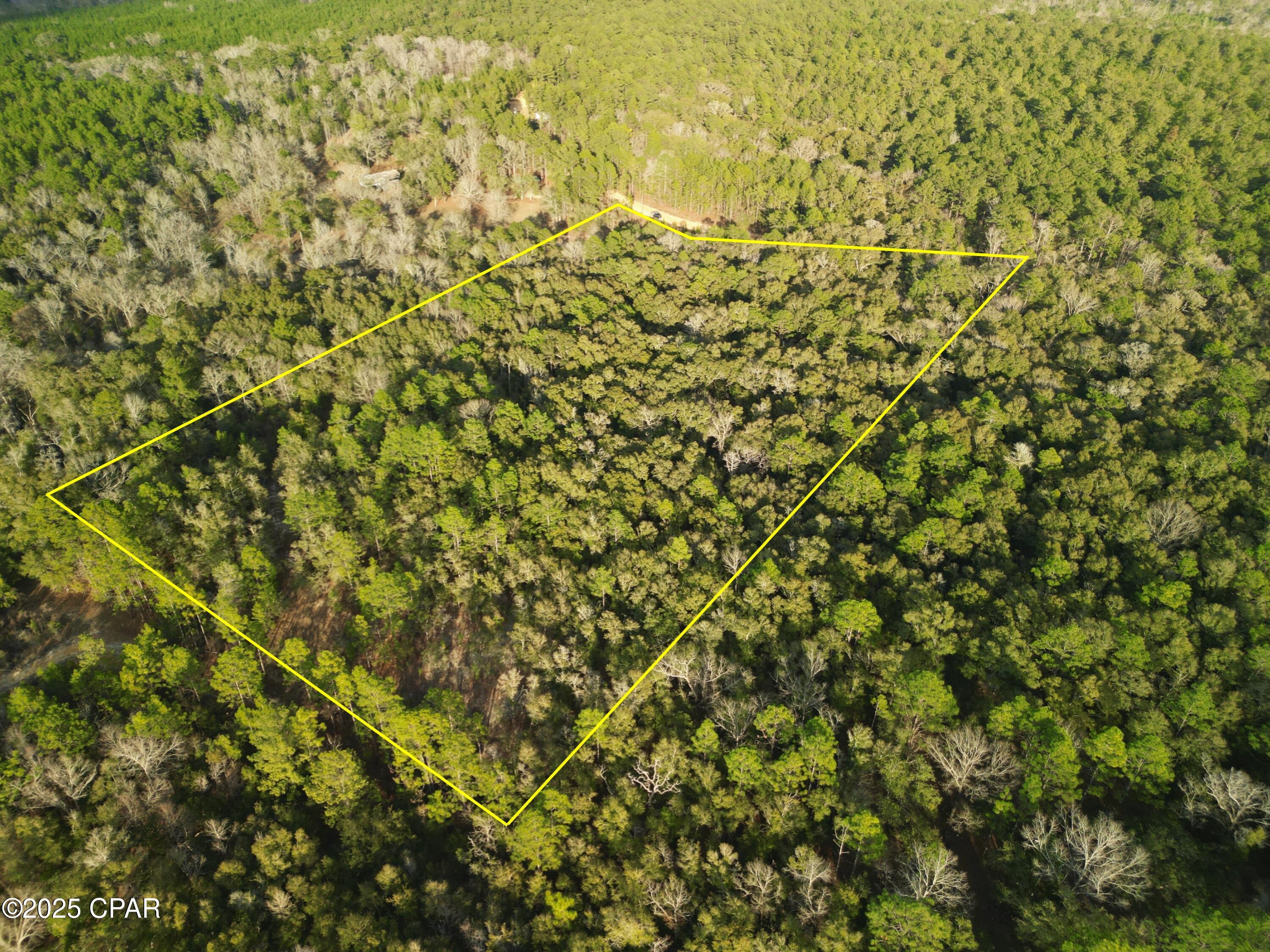 Image 3 For 000 Creek Run Road