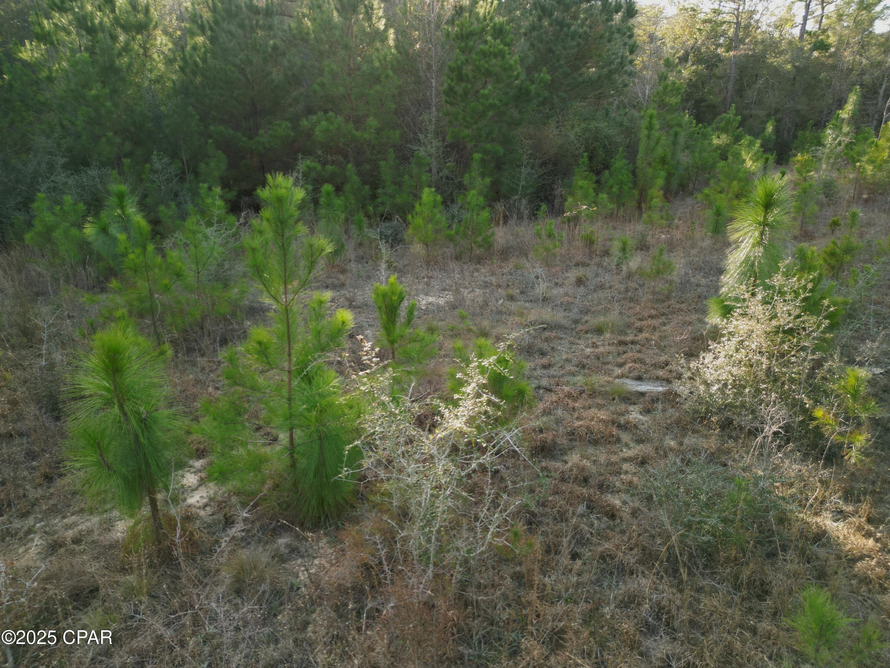 Image 6 For 000 Creek Run Road
