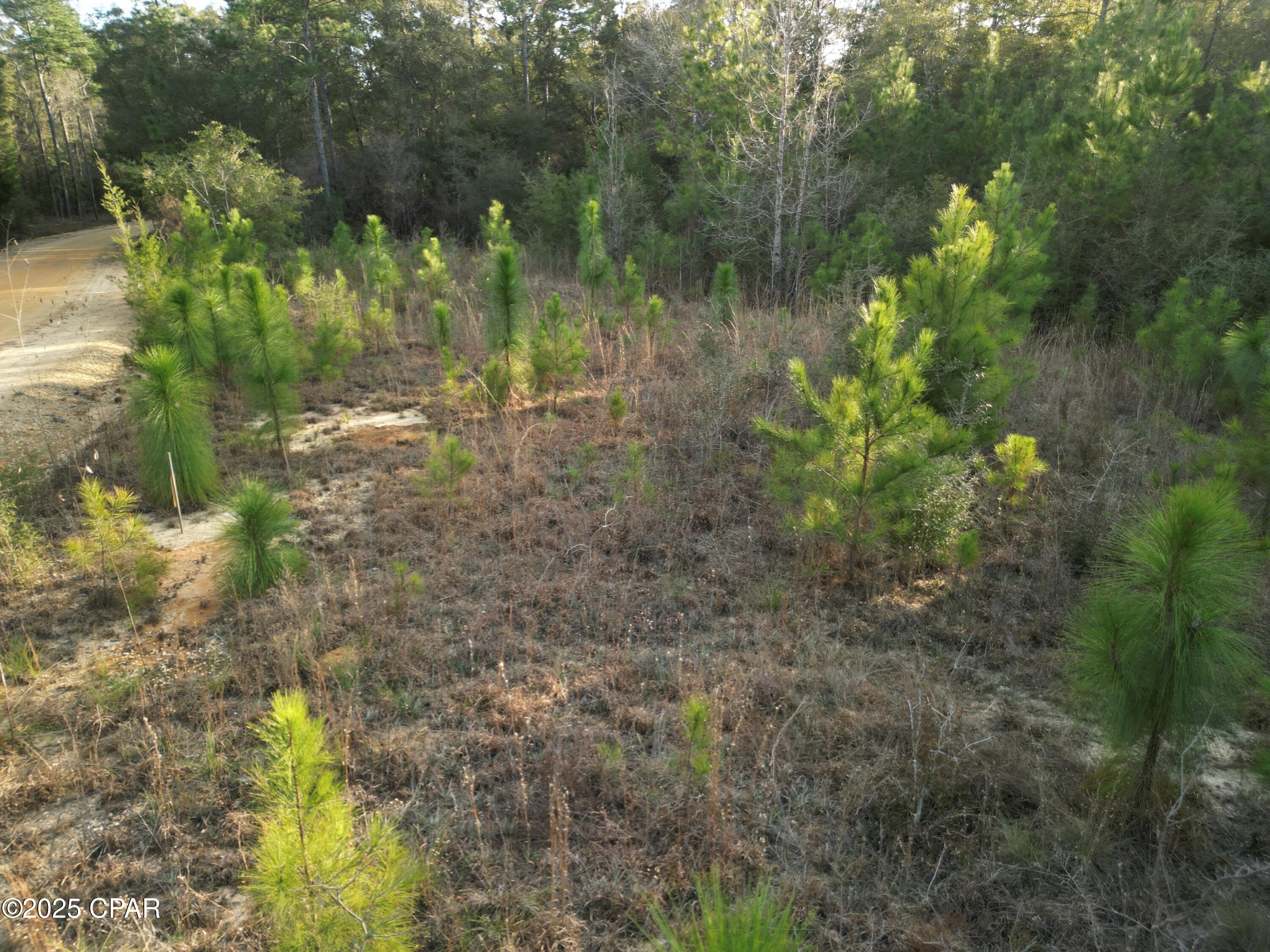 Image 7 For 000 Creek Run Road