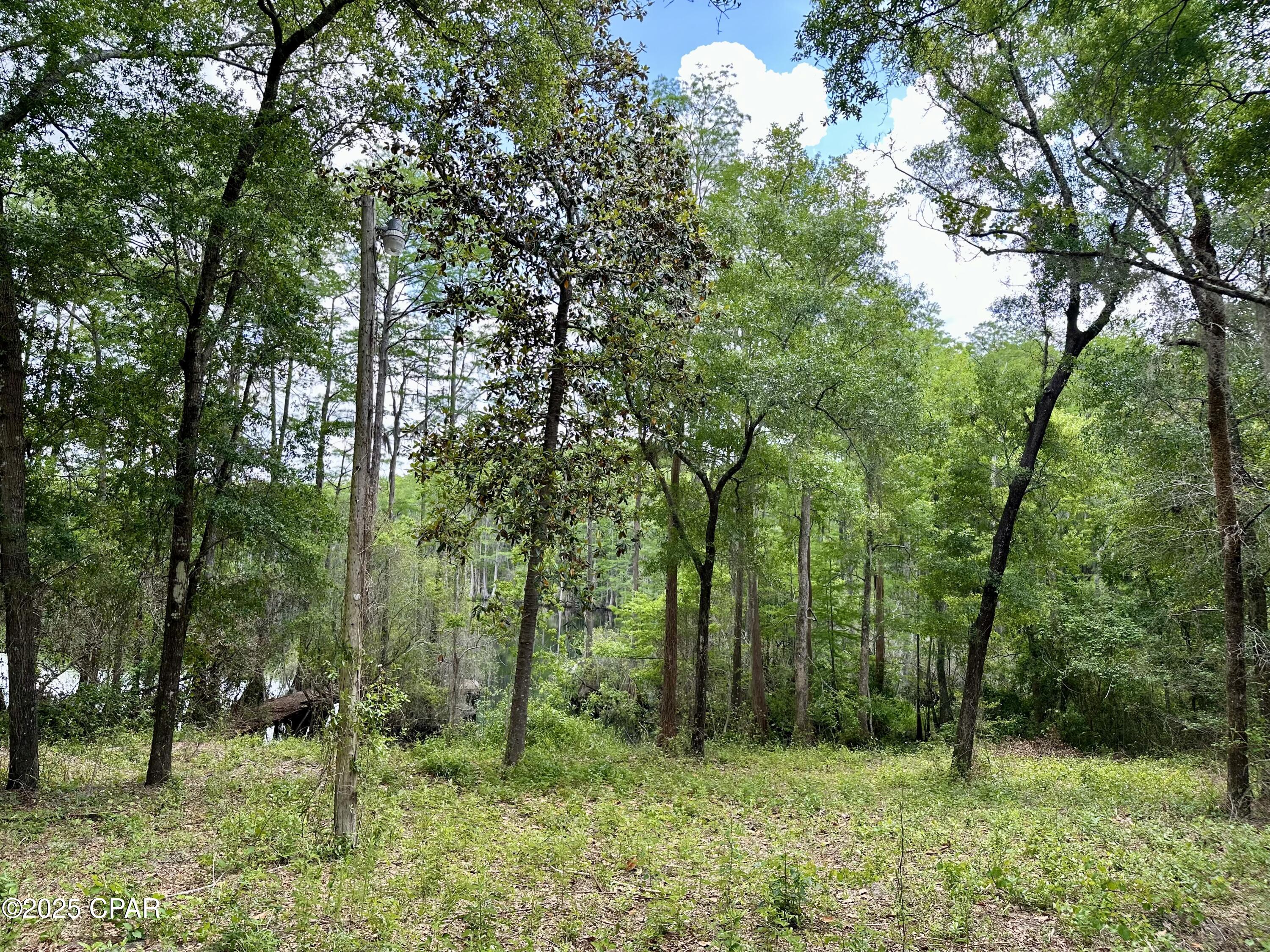 Image 29 For 4661 Moss Hill Road