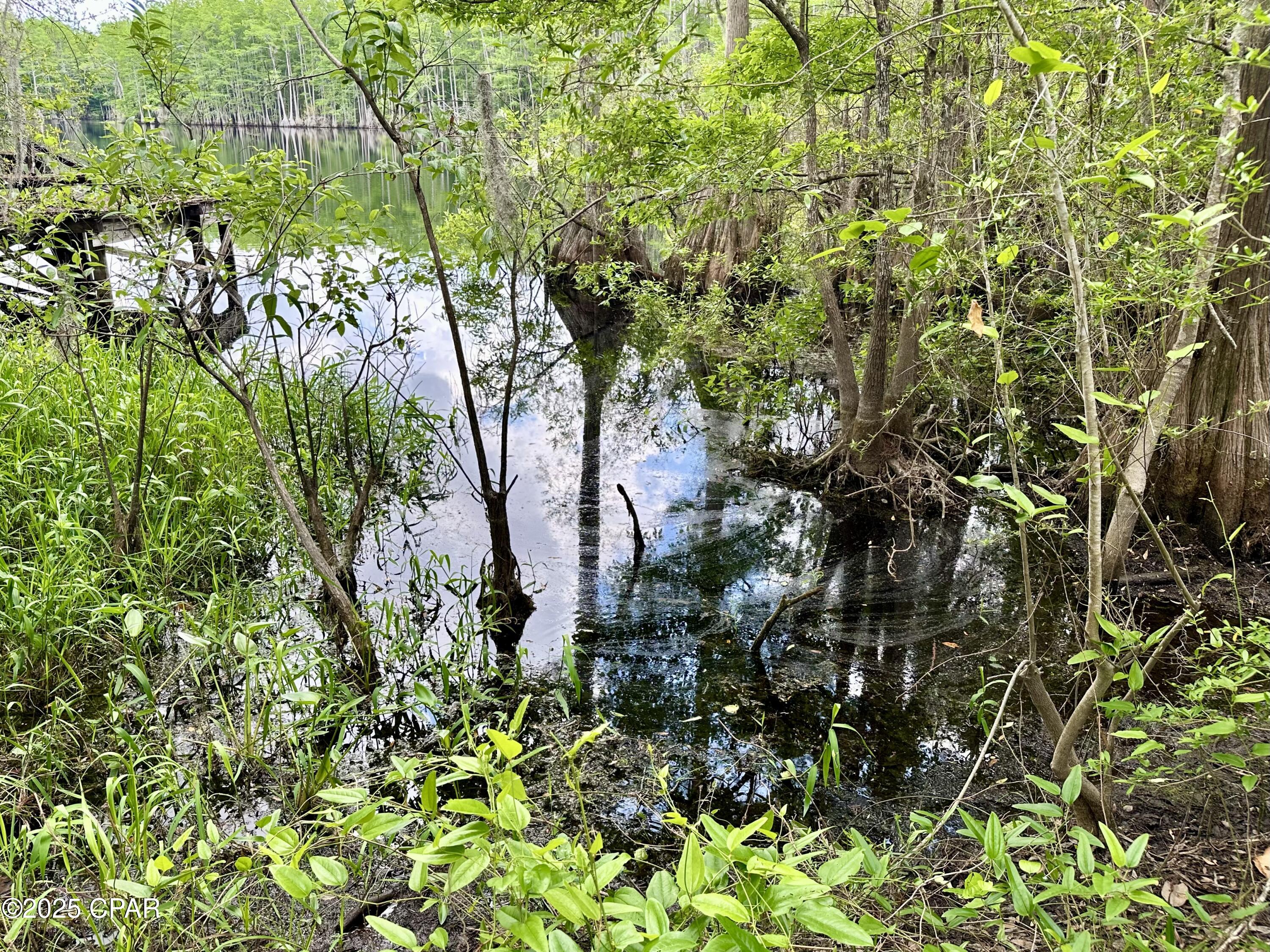 Image 5 For 4661 Moss Hill Road