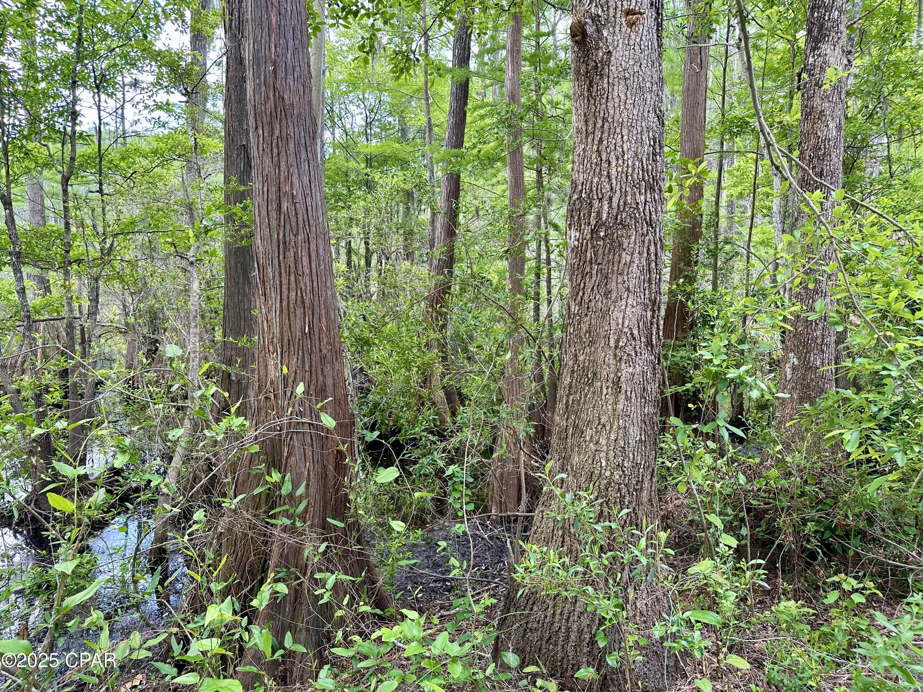 Image 6 For 4661 Moss Hill Road