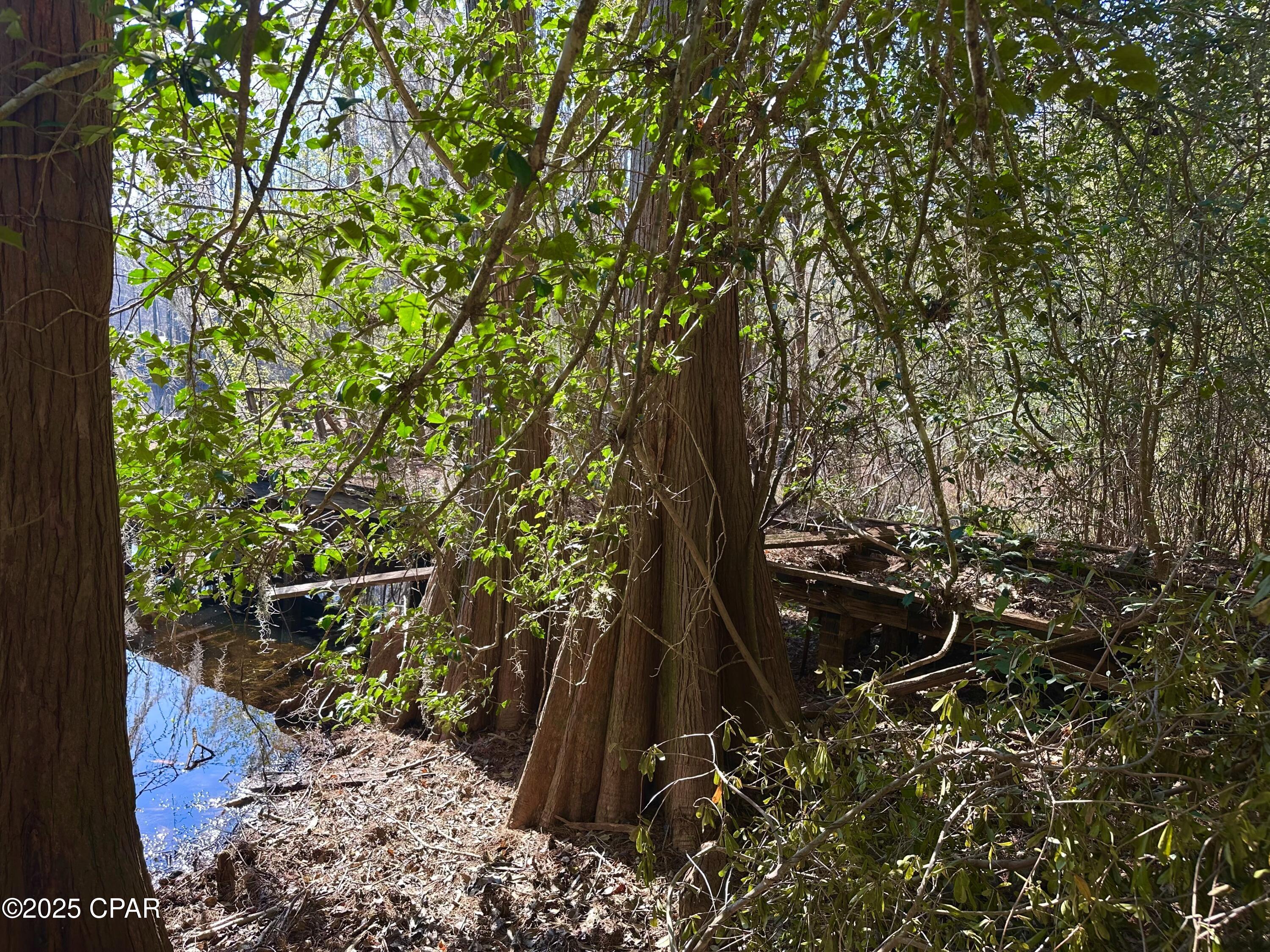 Image 8 For 4661 Moss Hill Road