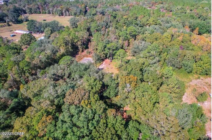 Image 13 For 1873 Adolph Whitaker Road