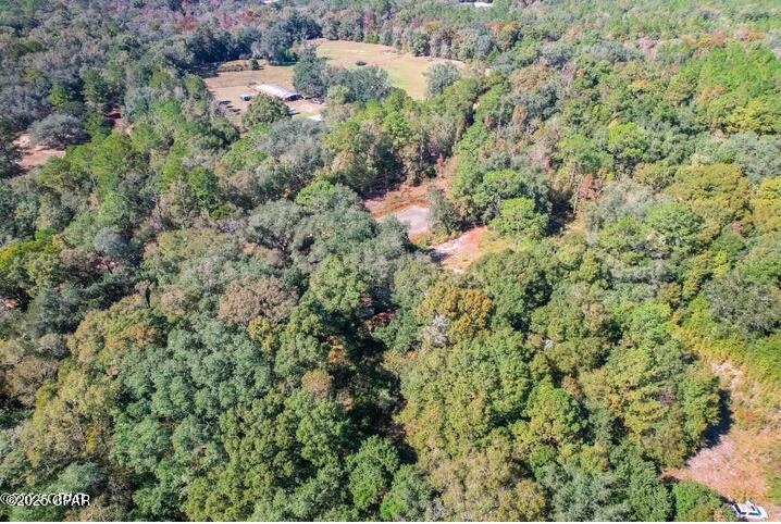 Image 14 For 1873 Adolph Whitaker Road