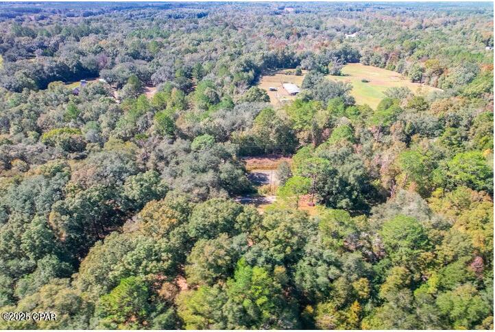 Image 15 For 1873 Adolph Whitaker Road