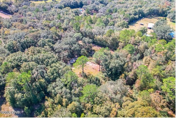 Image 16 For 1873 Adolph Whitaker Road