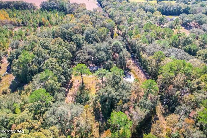 Image 17 For 1873 Adolph Whitaker Road