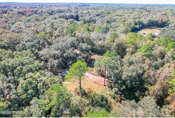 Image 8 For 1873 Adolph Whitaker Road