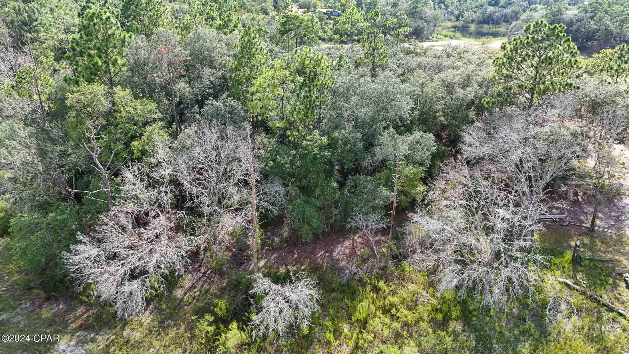 Image 13 For 65-66 Woodymarion Drive