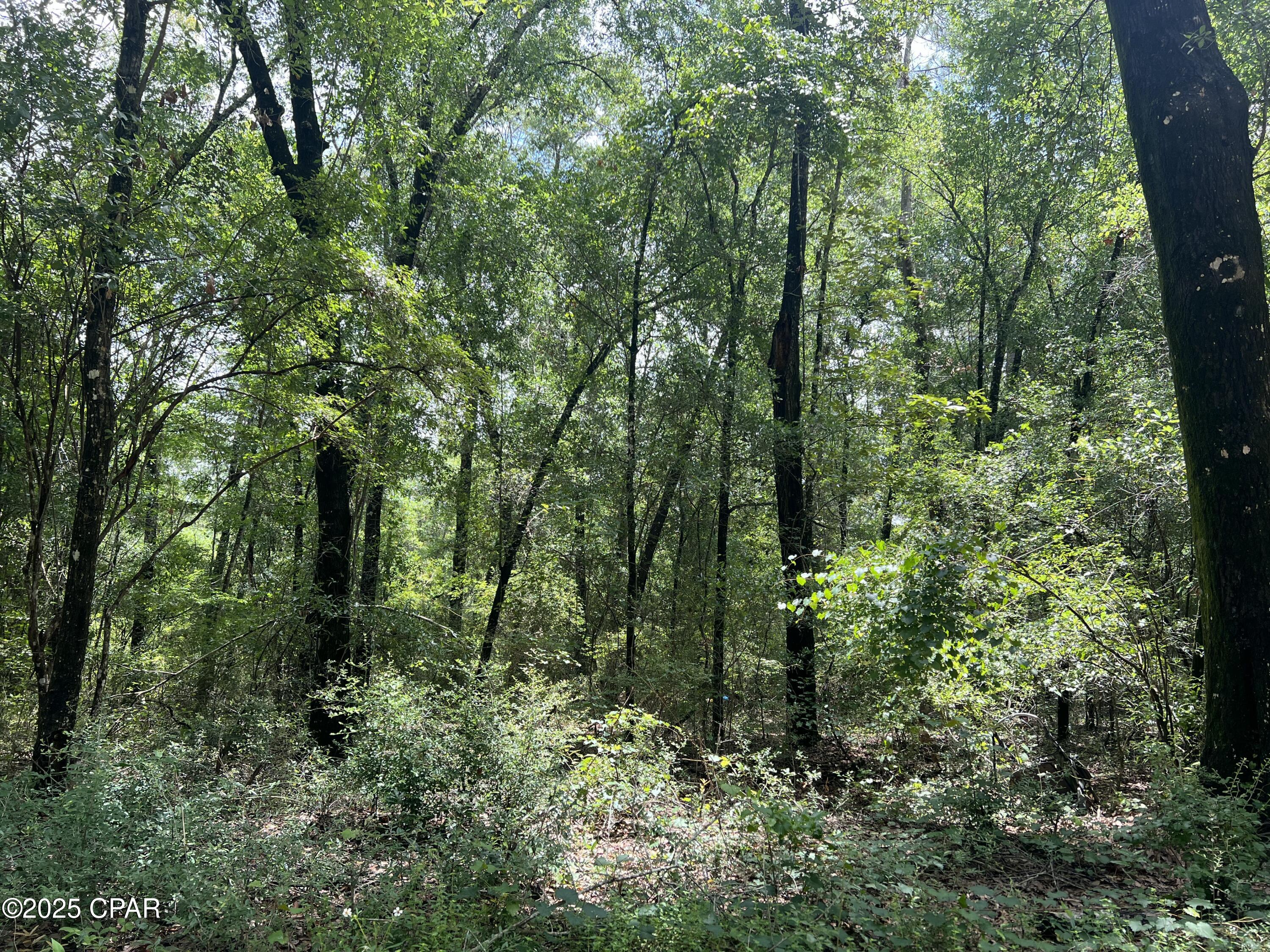Details for Lot 23 Remington Place, Bonifay, FL 32425