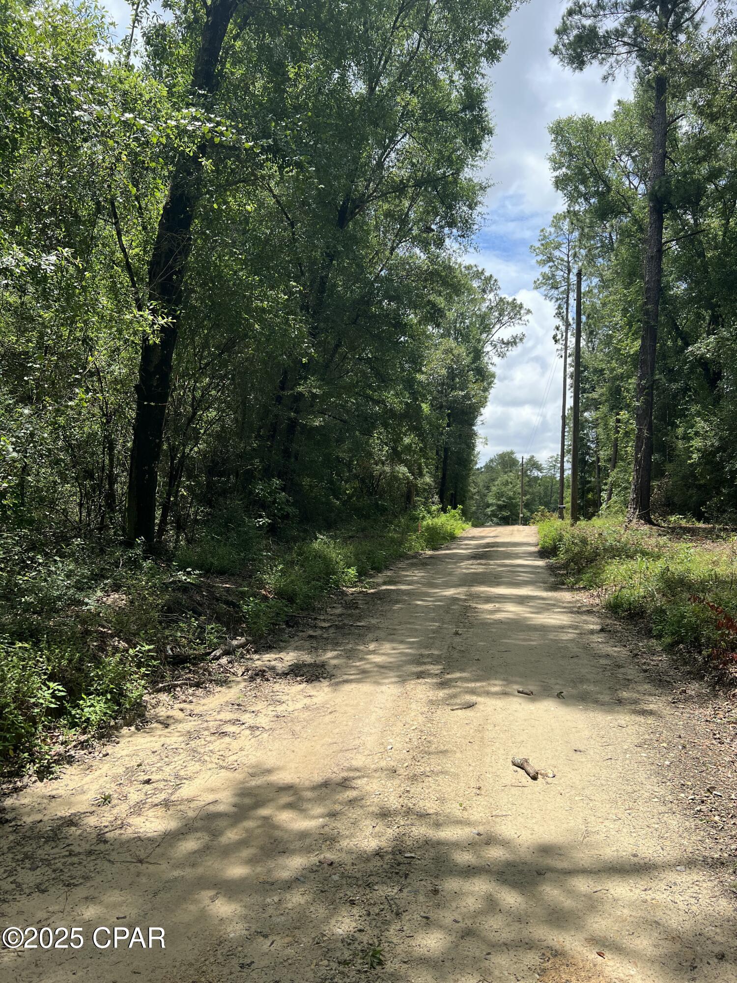 Image 4 For Lot 23 Remington Place