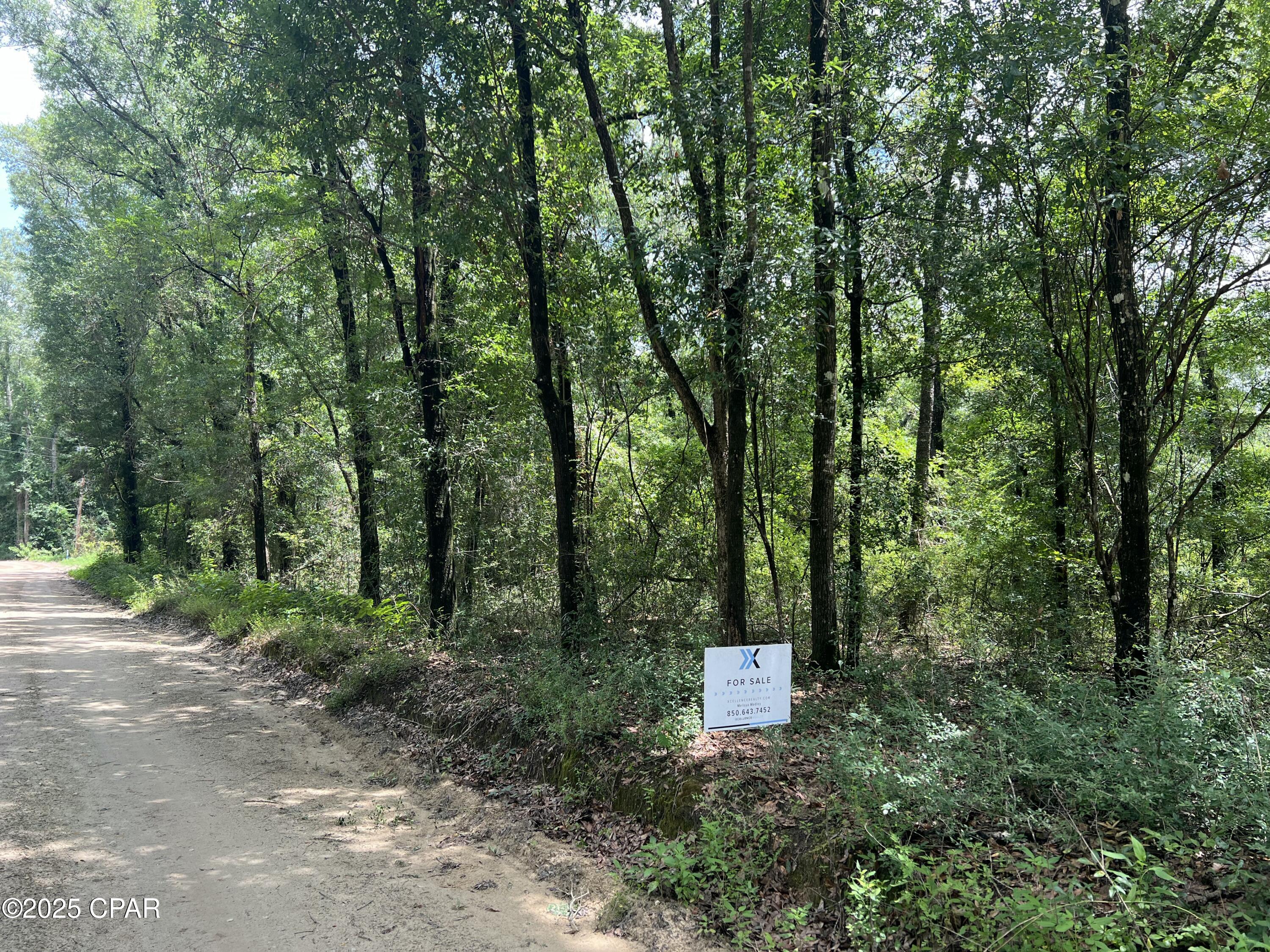 Image 5 For Lot 23 Remington Place