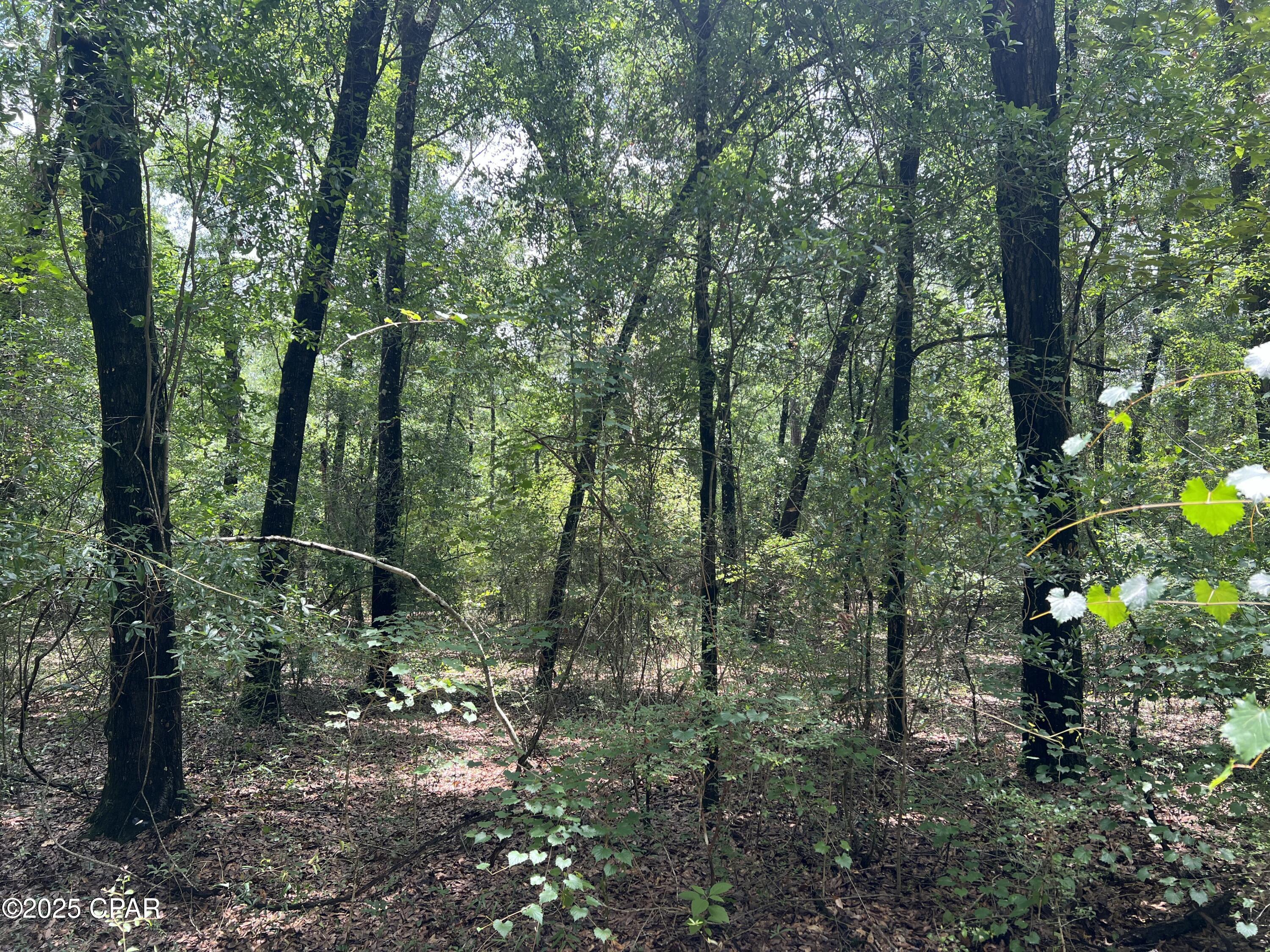 Image 7 For Lot 23 Remington Place