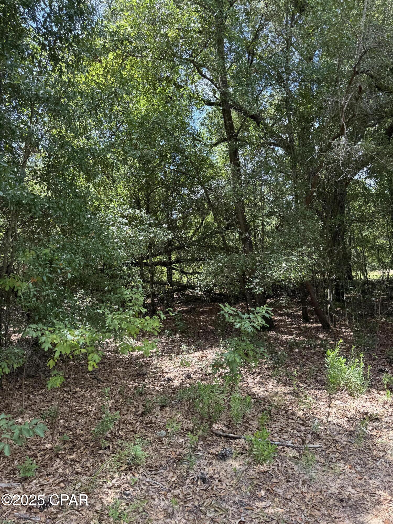 Image 41 For 248 Ball Park Road