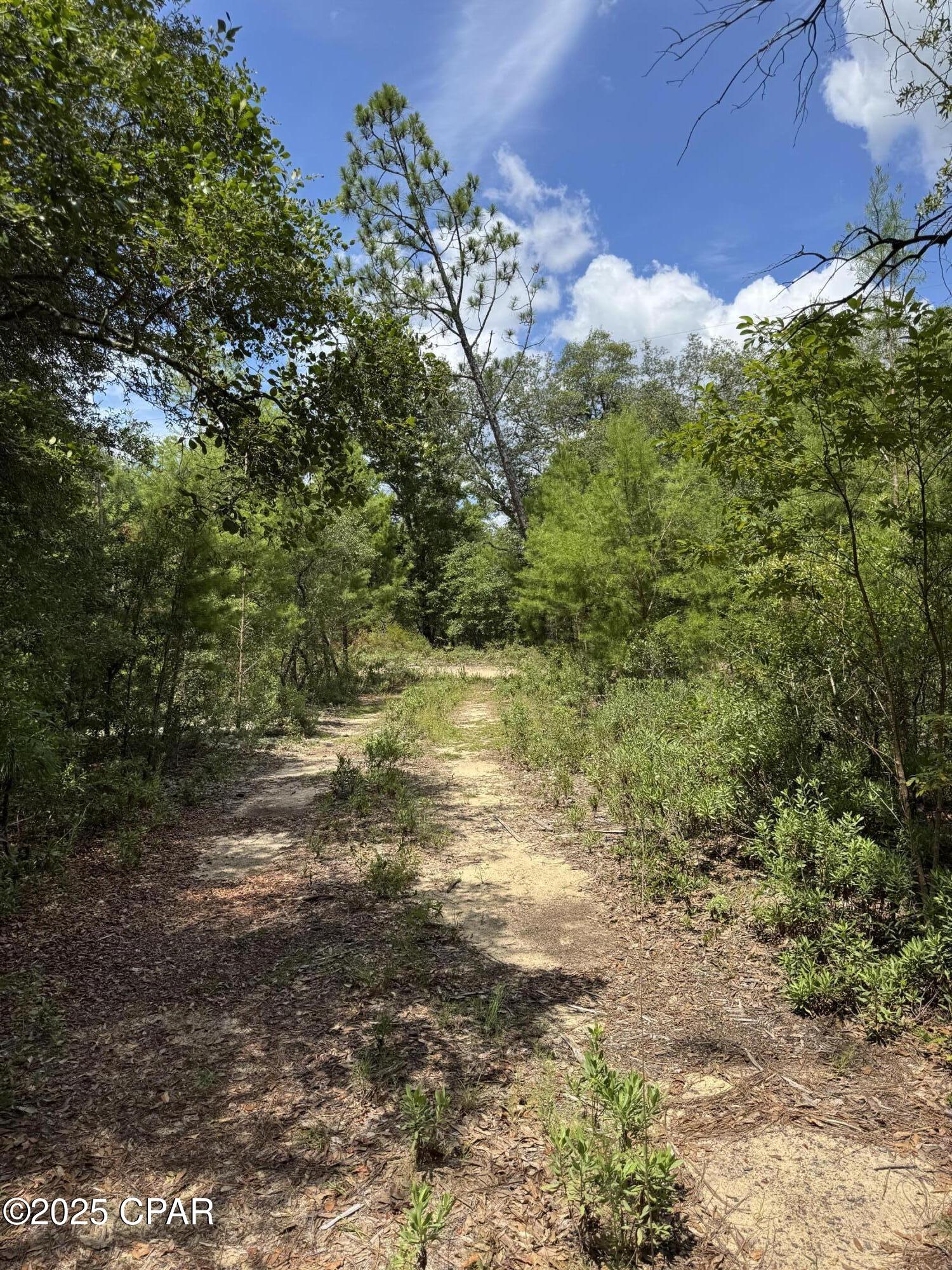 Image 46 For 248 Ball Park Road