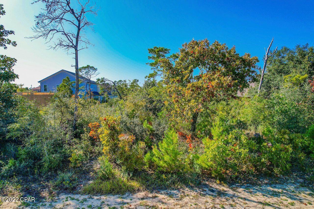 3641 Preserve Boulevard Lot 228, Panama City Beach, FL 32408 thumbnail, photo 5 of 14