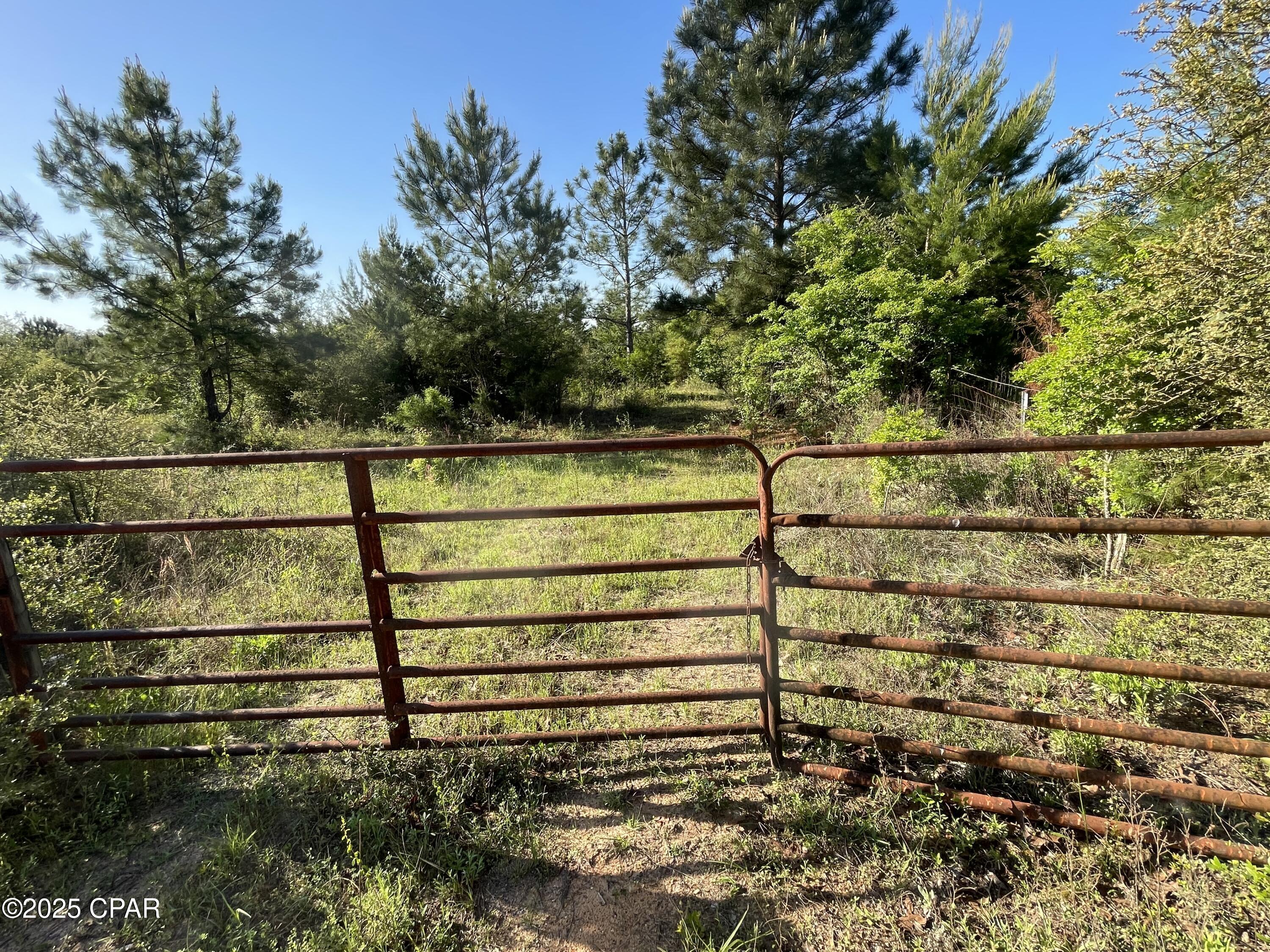 Image 19 For 0000 Hwy 231