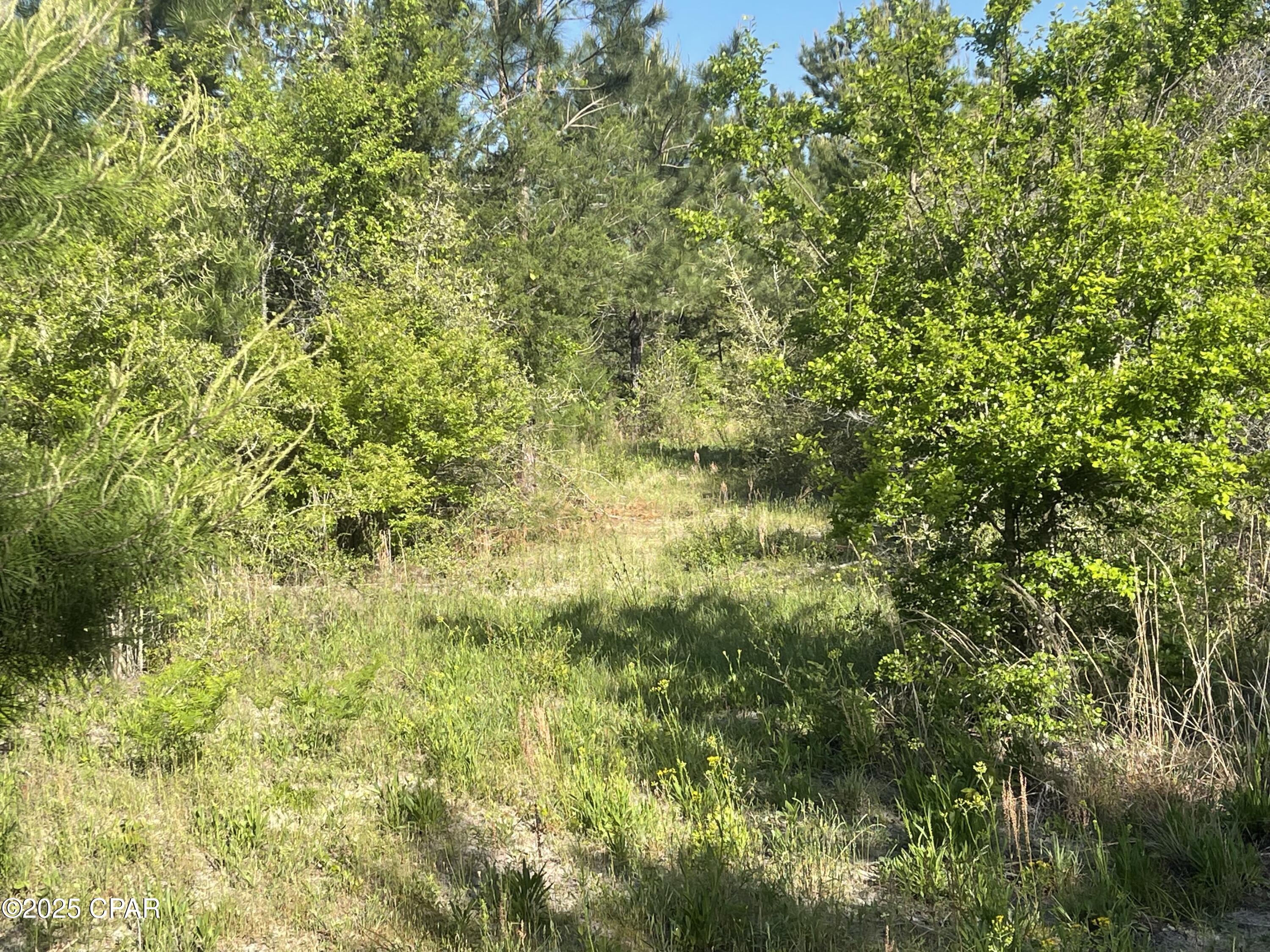 Image 21 For 0000 Hwy 231