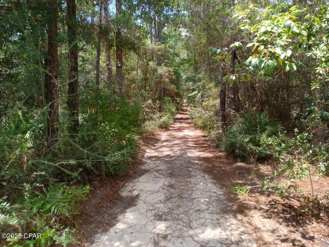 Image 13 For Lot 7 & 8 Yellow Poplar Avenue