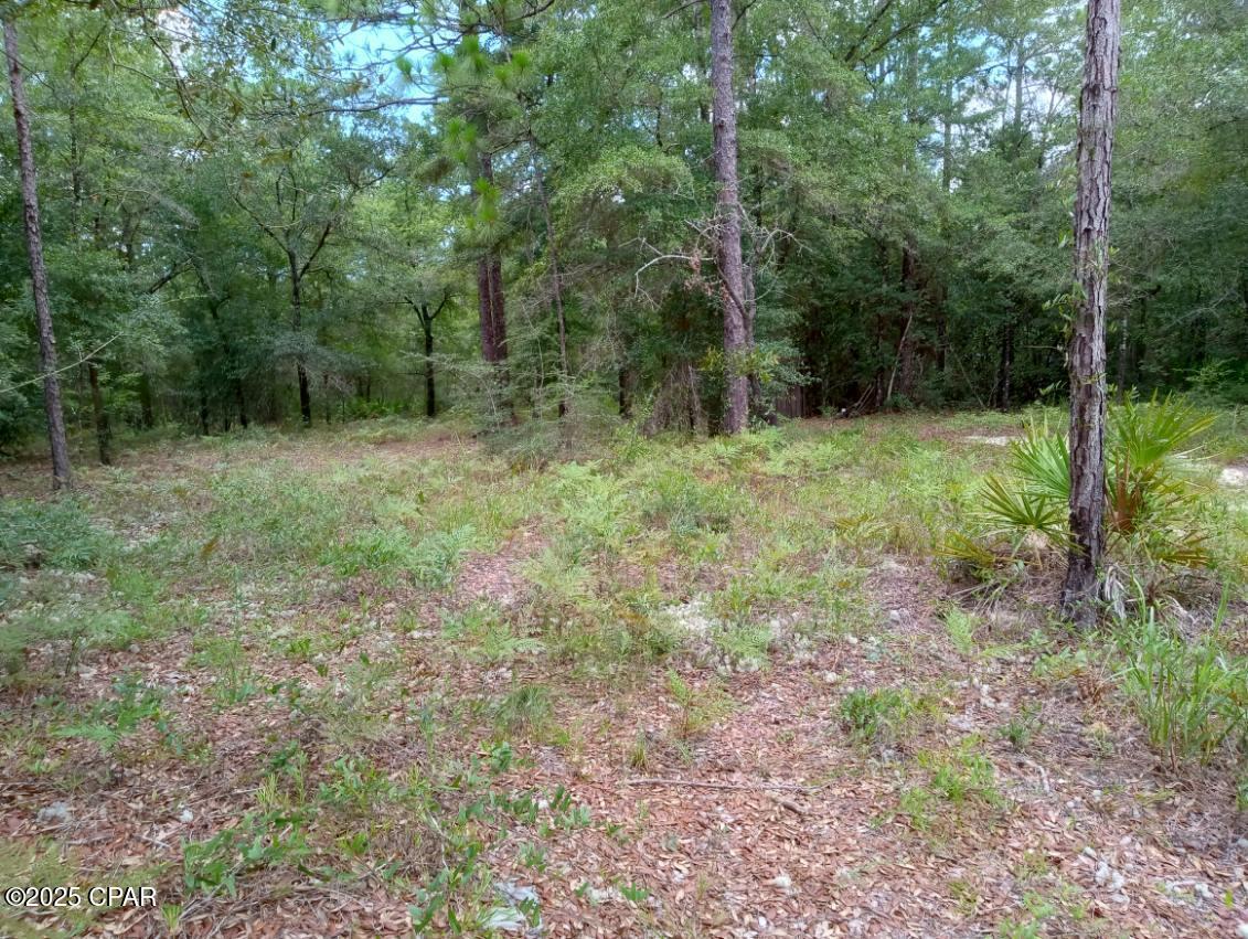 Image 4 For Lot 7 & 8 Yellow Poplar Avenue