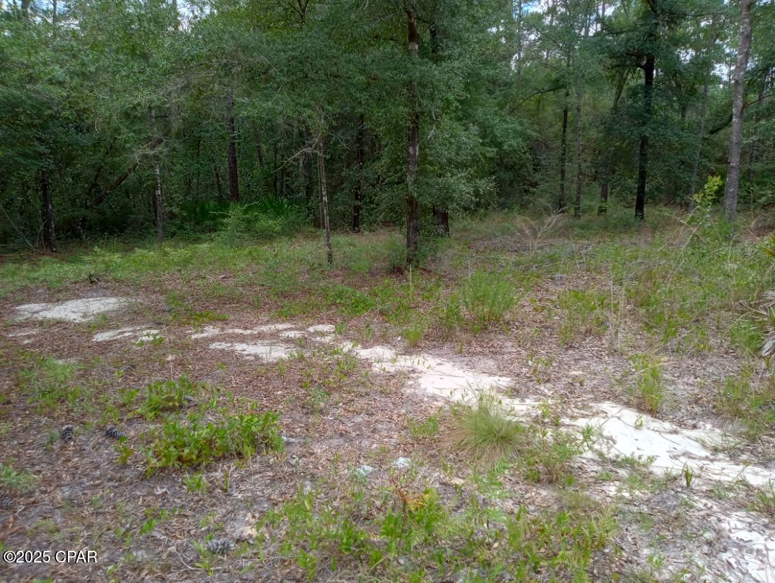 Image 5 For Lot 7 & 8 Yellow Poplar Avenue