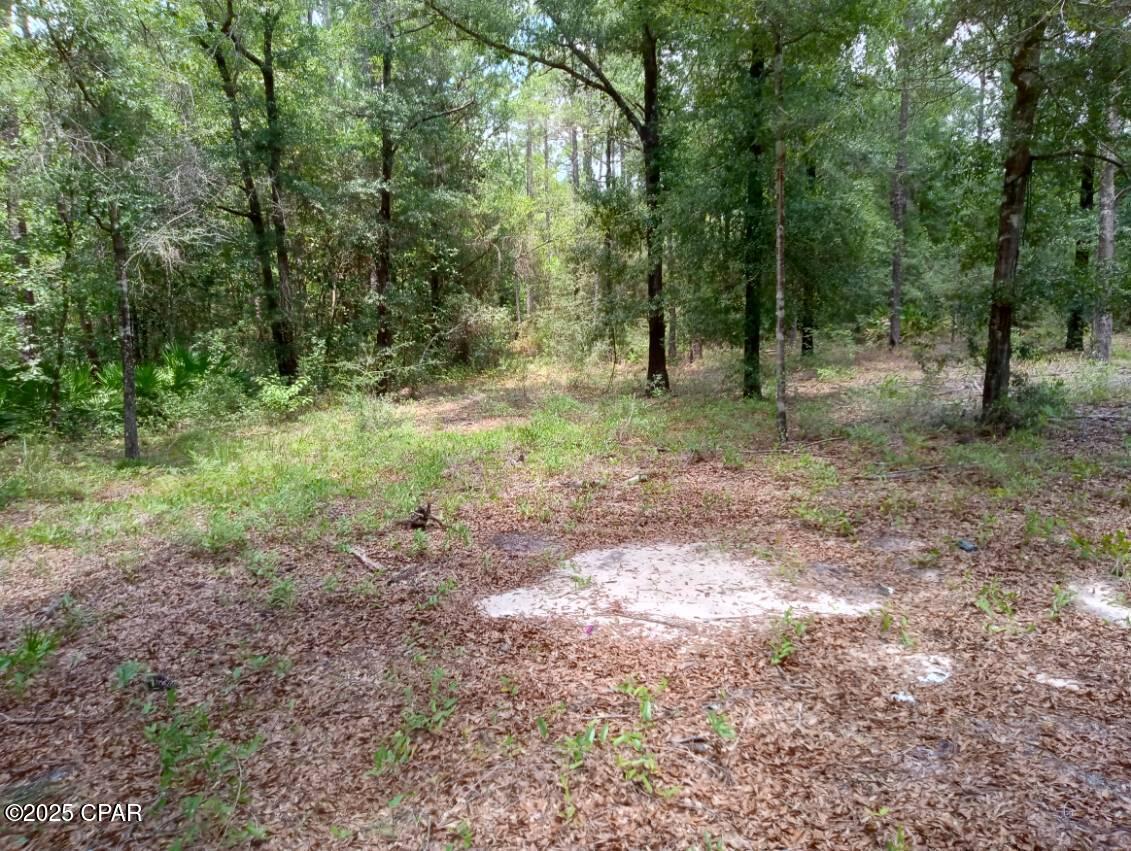 Image 6 For Lot 7 & 8 Yellow Poplar Avenue