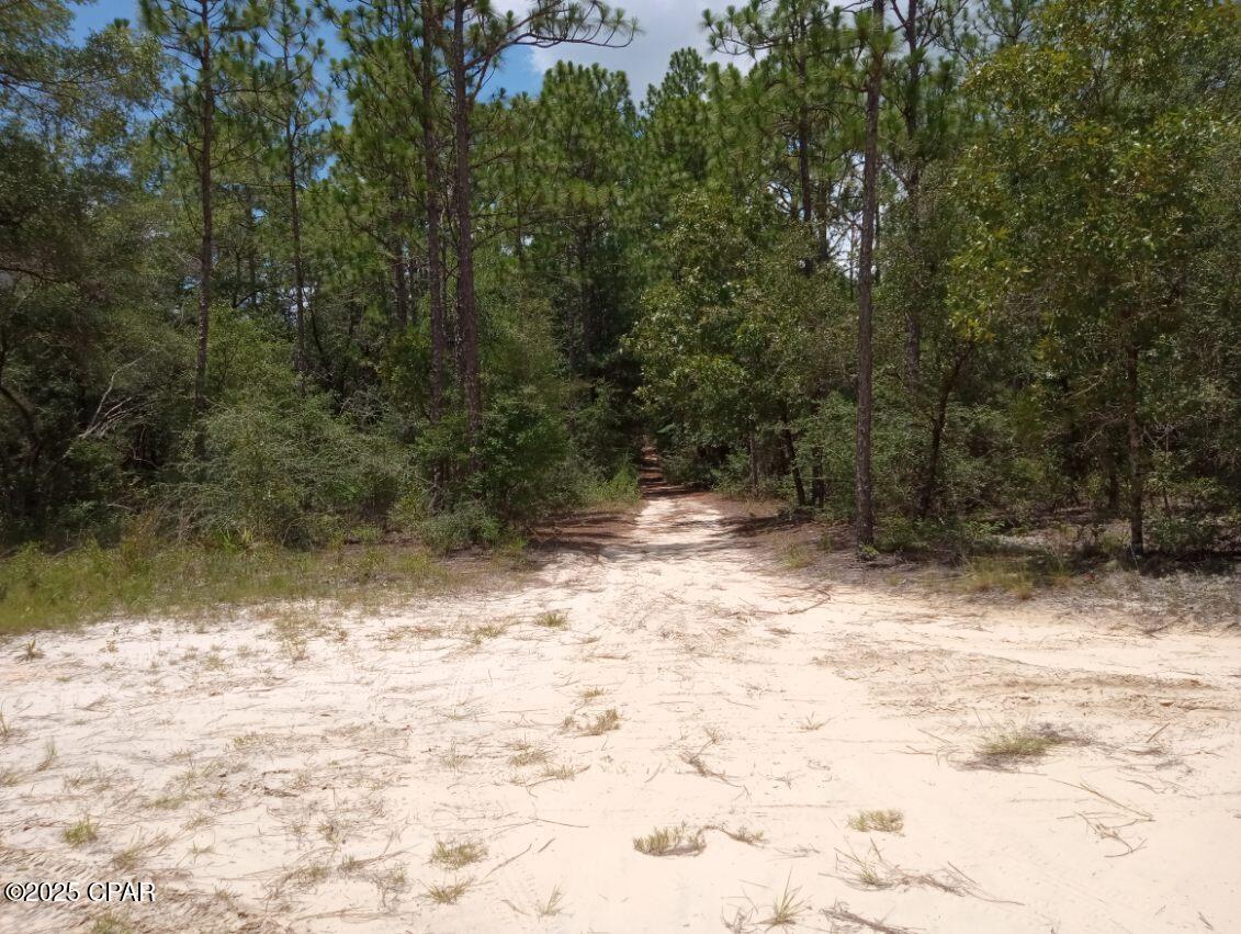 Image 7 For Lot 7 & 8 Yellow Poplar Avenue