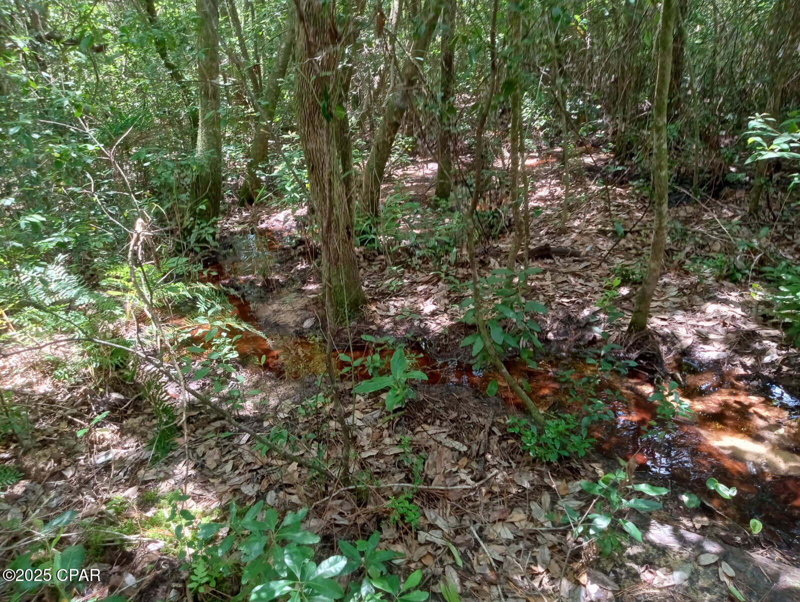 Image 8 For Lot 7 & 8 Yellow Poplar Avenue